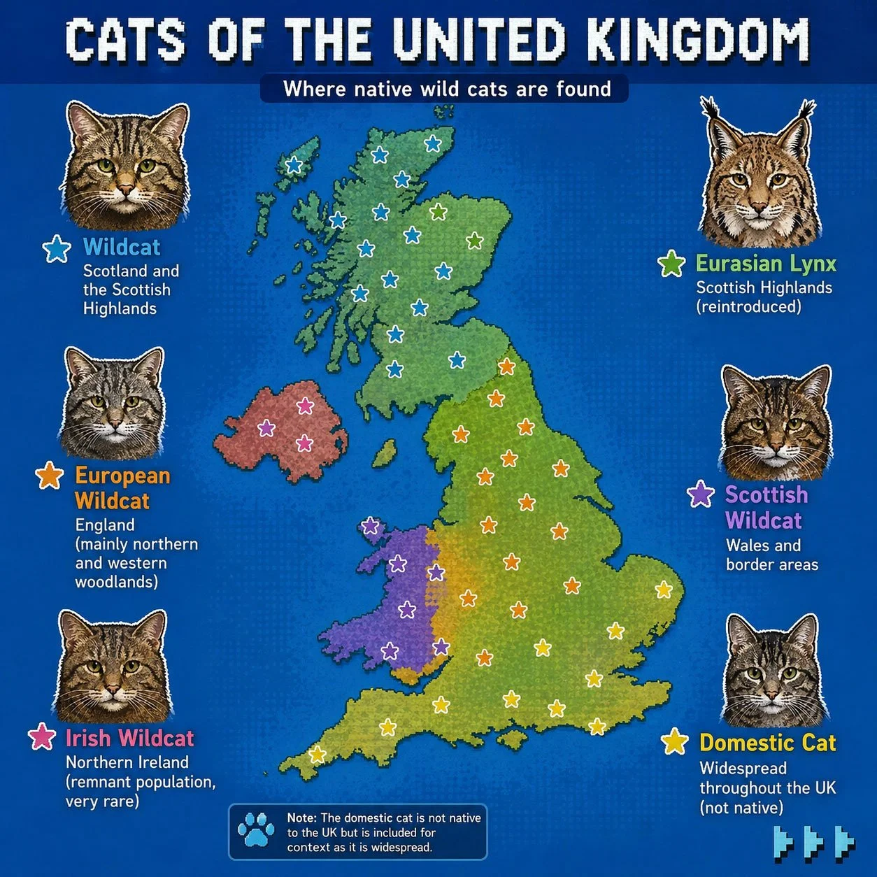 CatsOfEurope.jpg