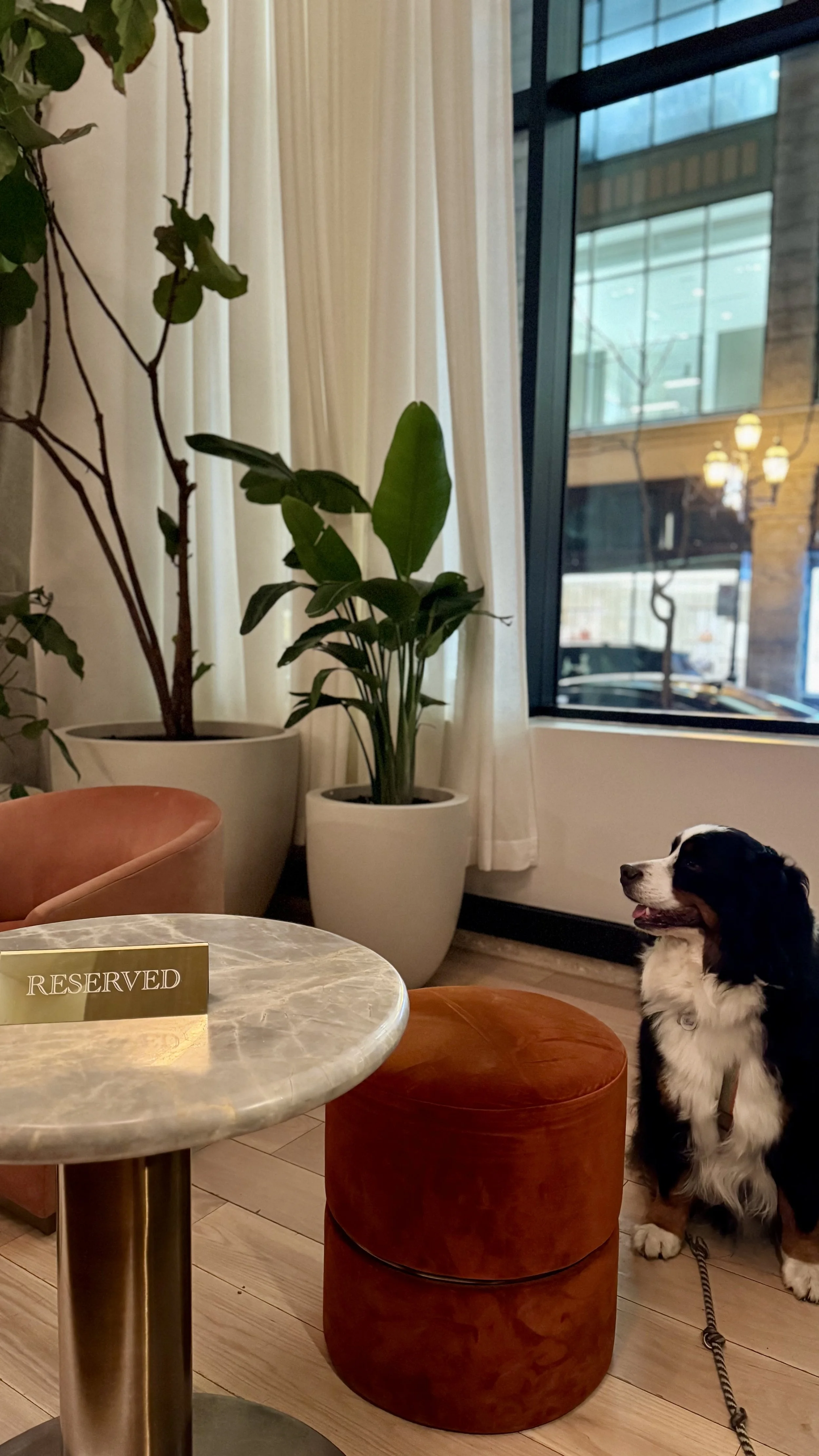 Travel Bug Travel Guides | Best Hotels Montreal