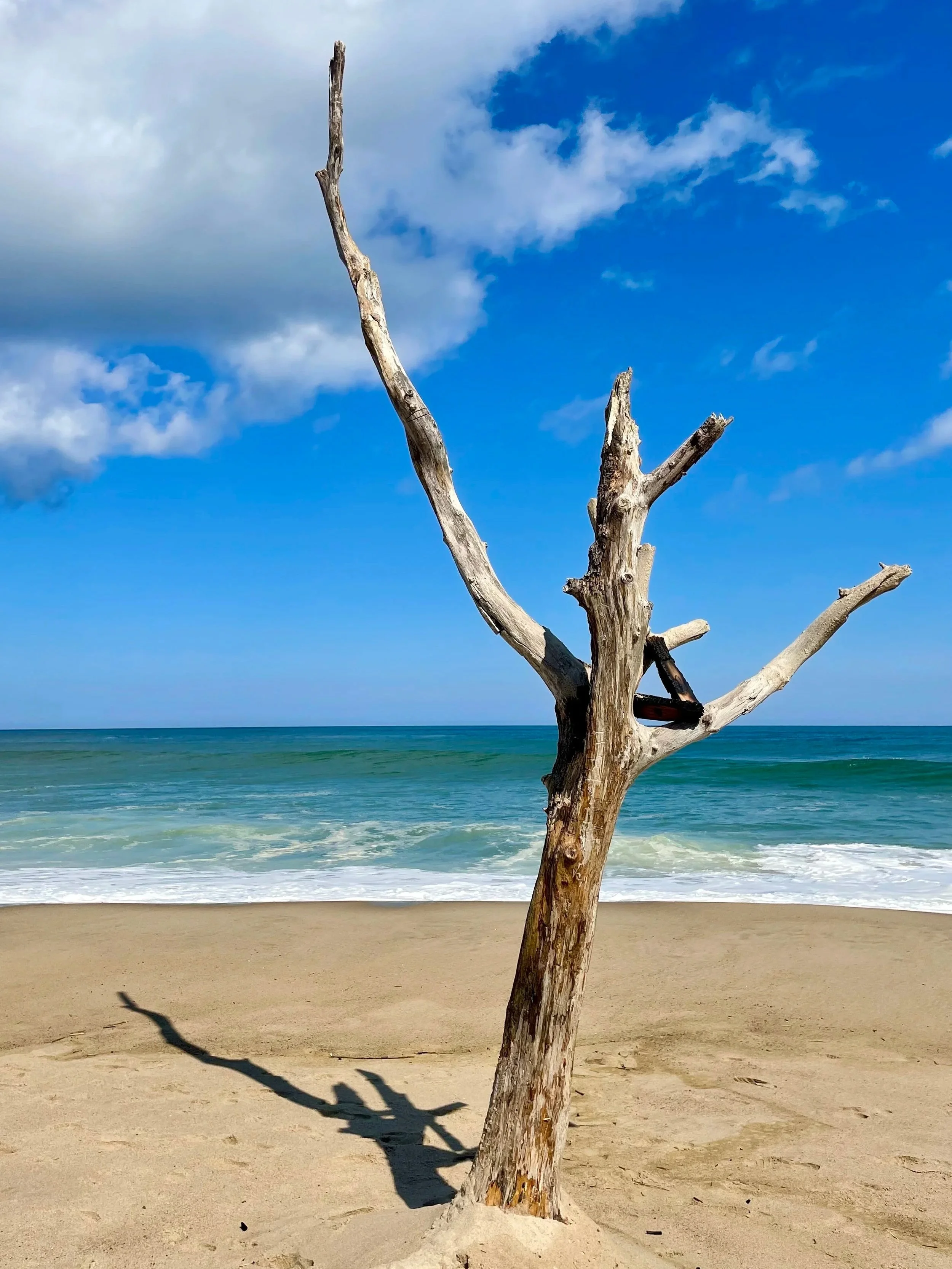 Nauset Light Beach Eastham | Cape Cod Travel Guide | Travel Bug