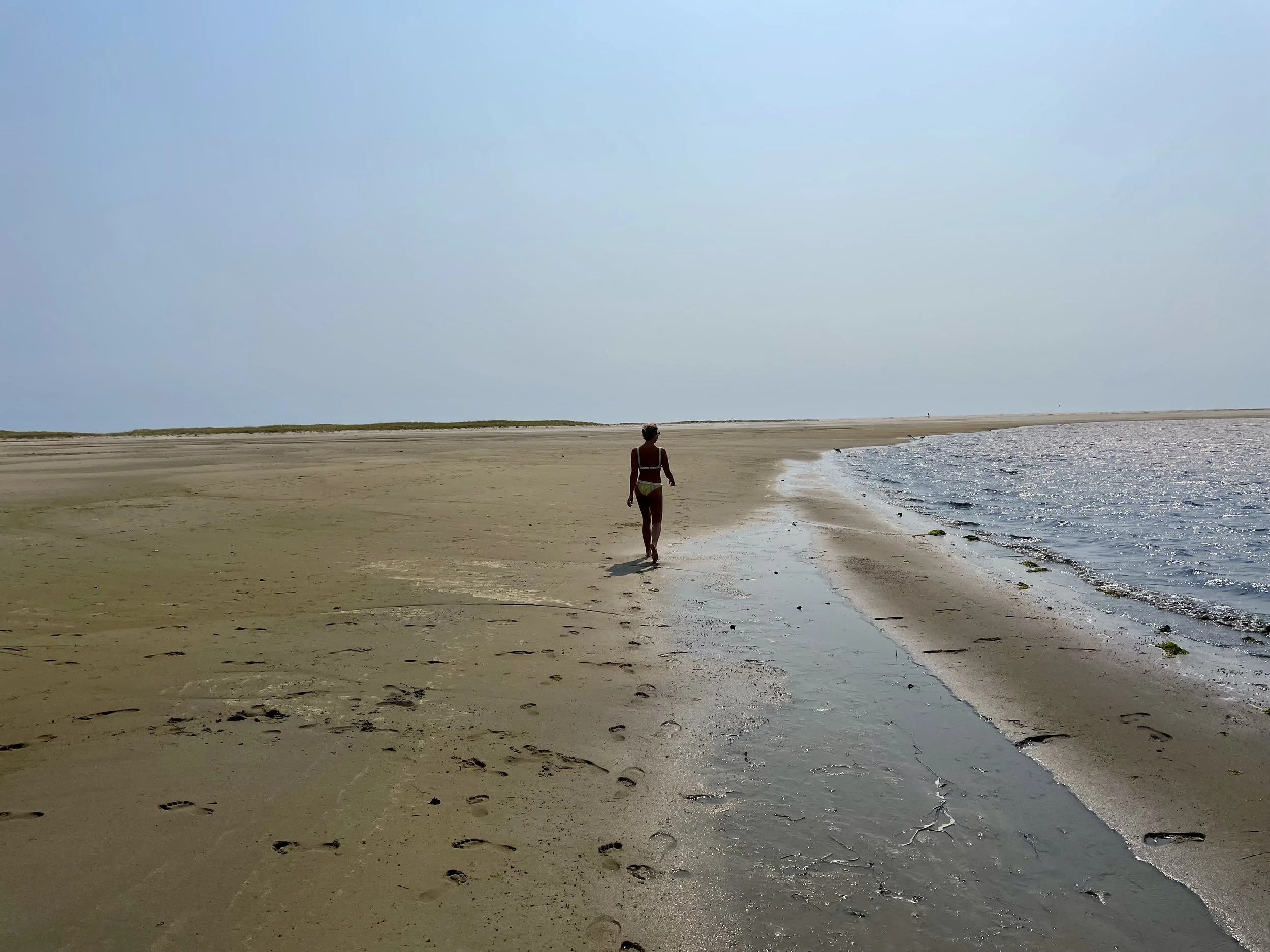 North Beach Island Chatham | Cape Cod Travel Guide | Travel Bug