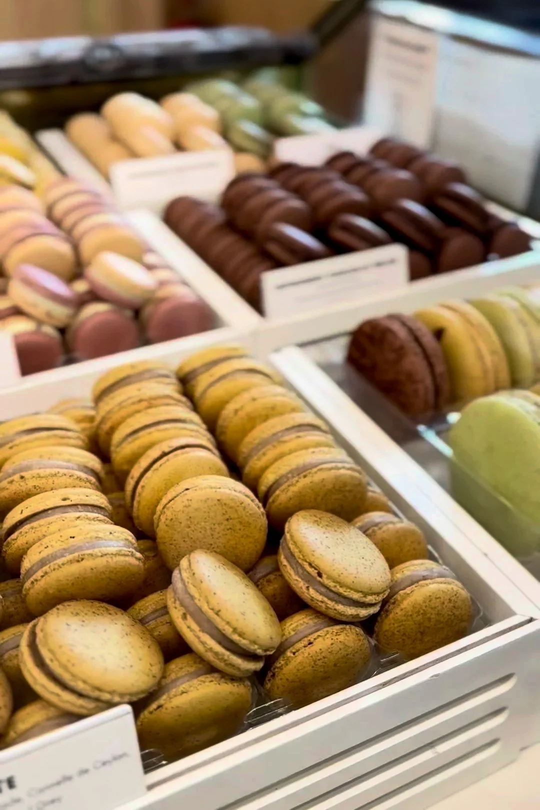 Best Macarons in Paris | Paris Travel Guide | Travel Bug