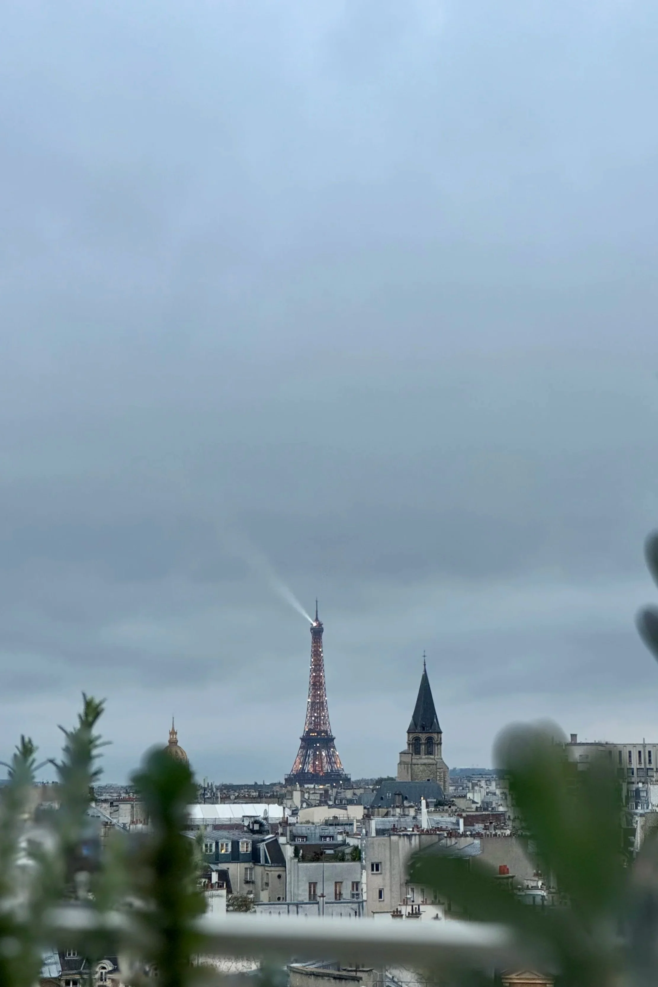 Hôtel Dame Des Arts Rooftop | Paris Travel Guide | Travel Bug