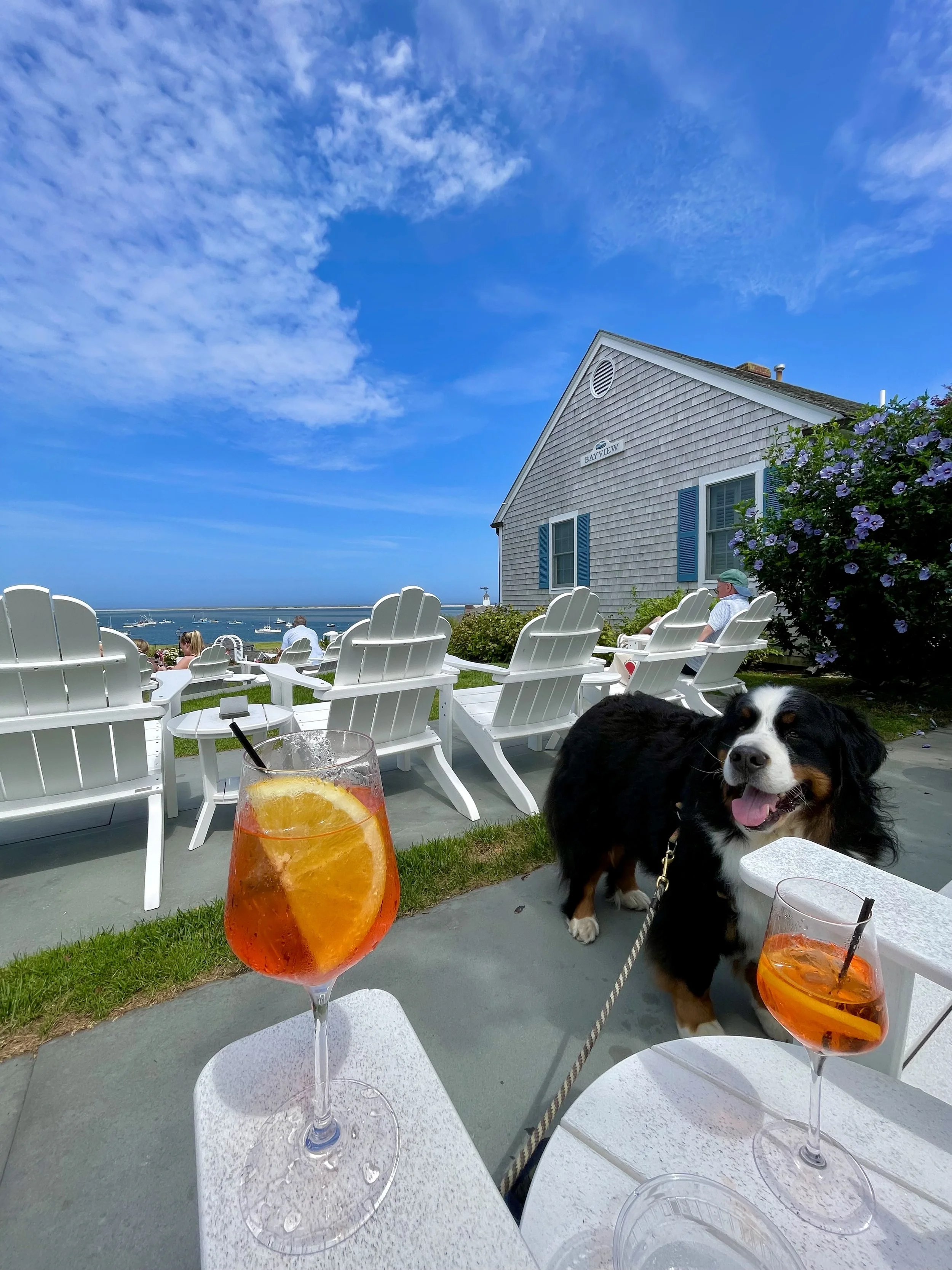 Chatham Bars Inn | Cape Cod Travel Guide | Travel Bug