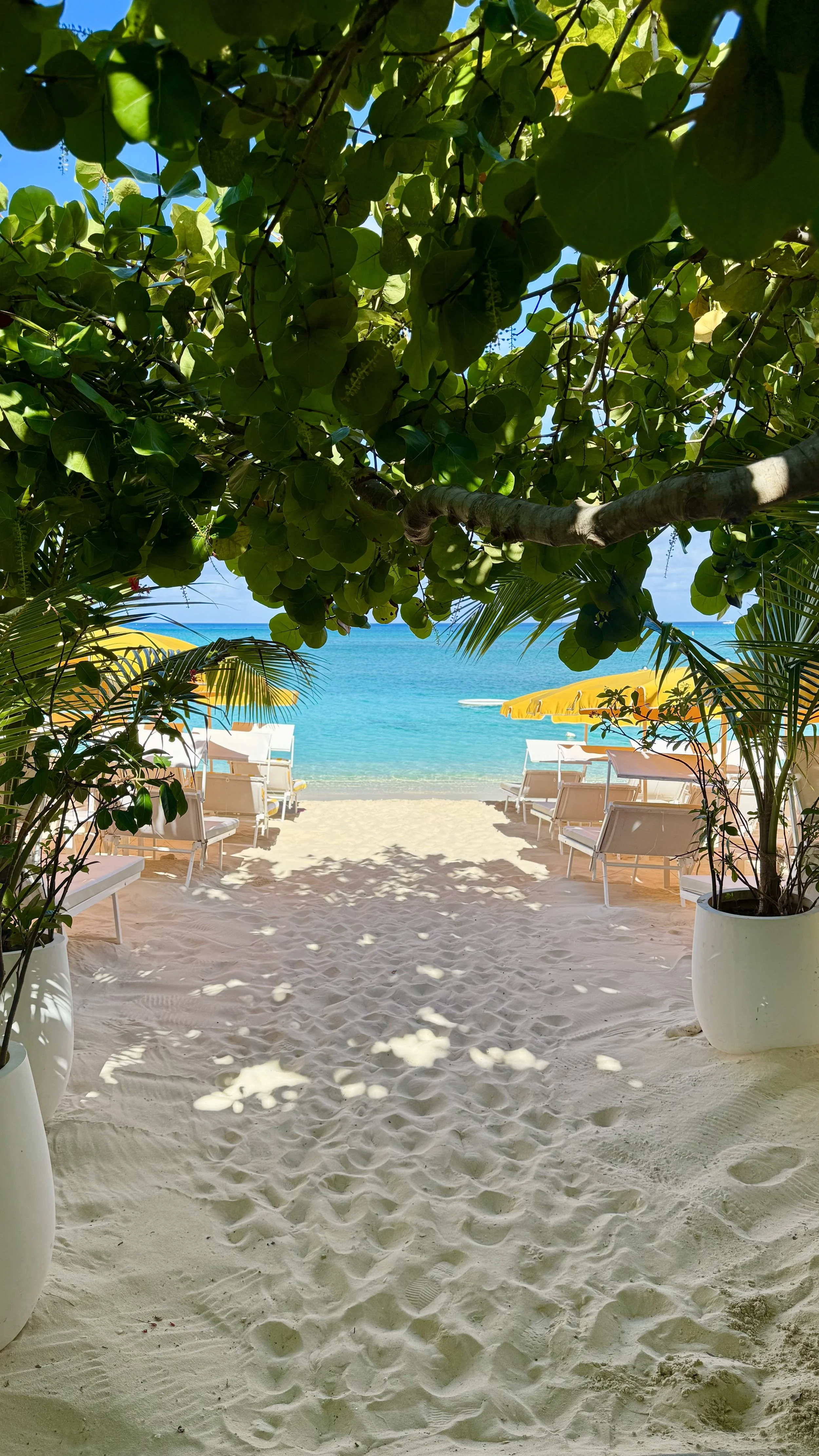 Palm Heights | Grand Cayman Travel Guide | Travel Bug