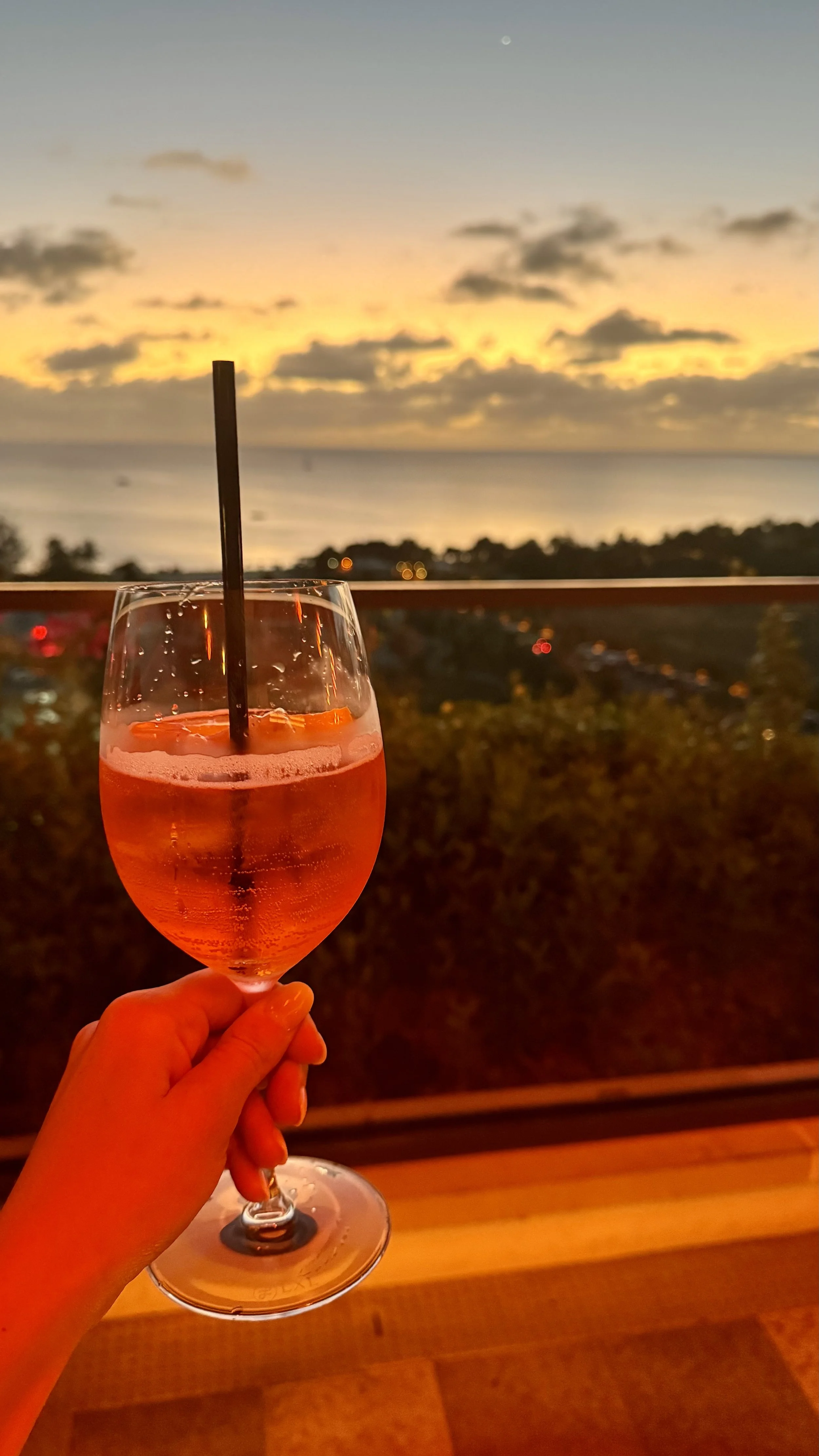 Pom Pom, Hotel Indigo | Grand Cayman Travel Guide | Travel Bug