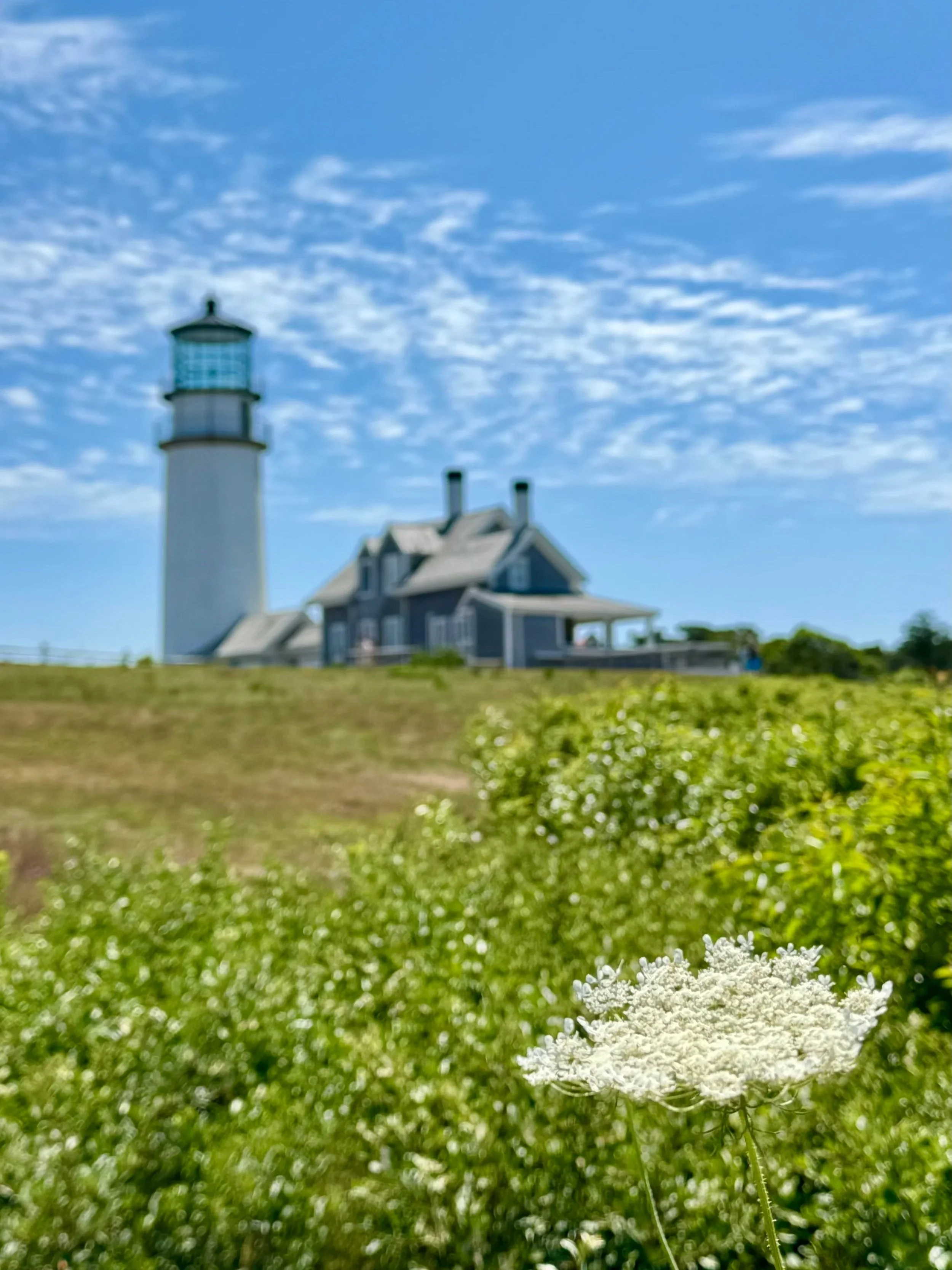 Highland Light | Cape Cod Travel Guide | Travel Bug