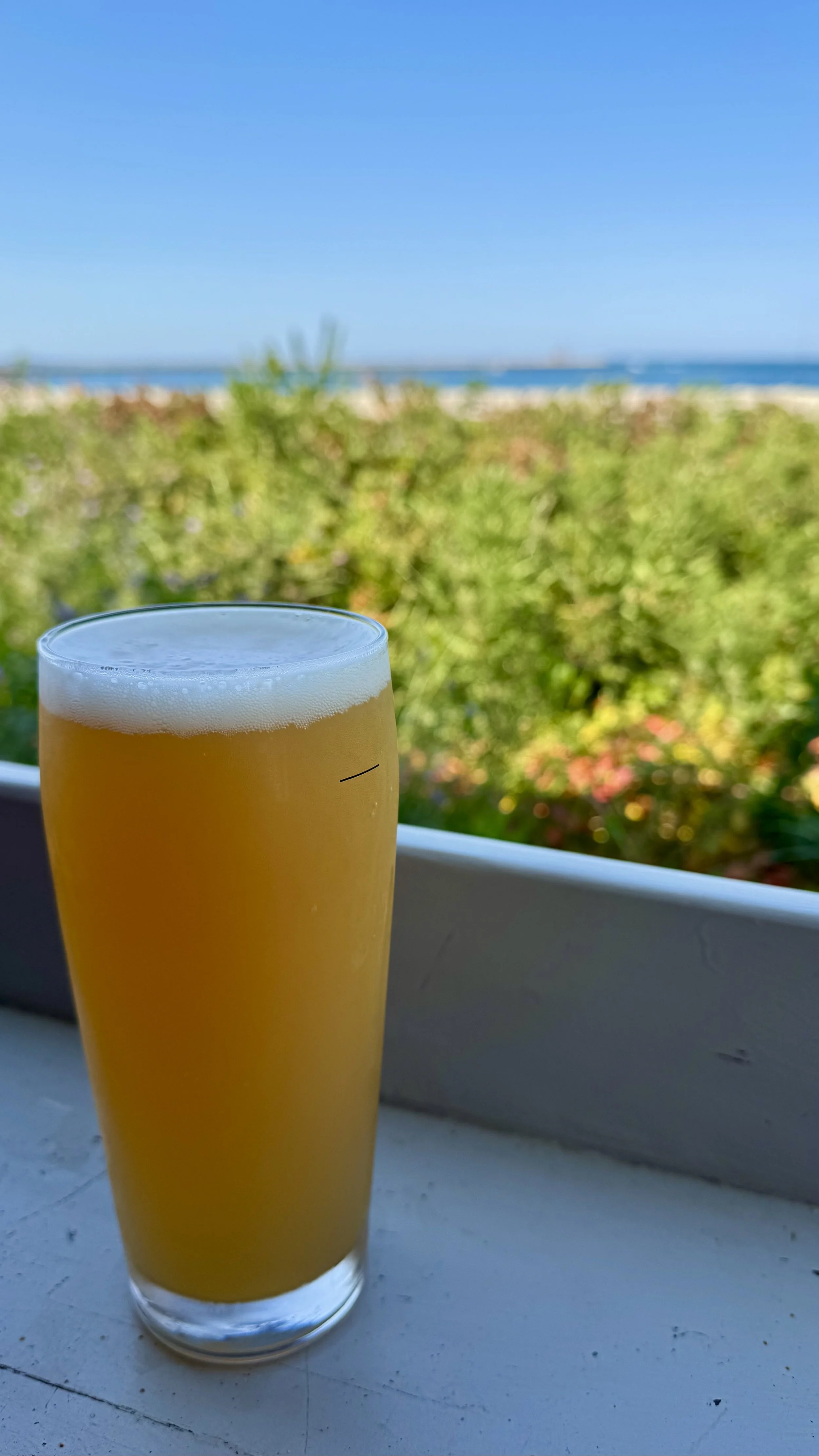 Treehouse Brewing Sandwich | Cape Cod Travel Guide | Travel Bug