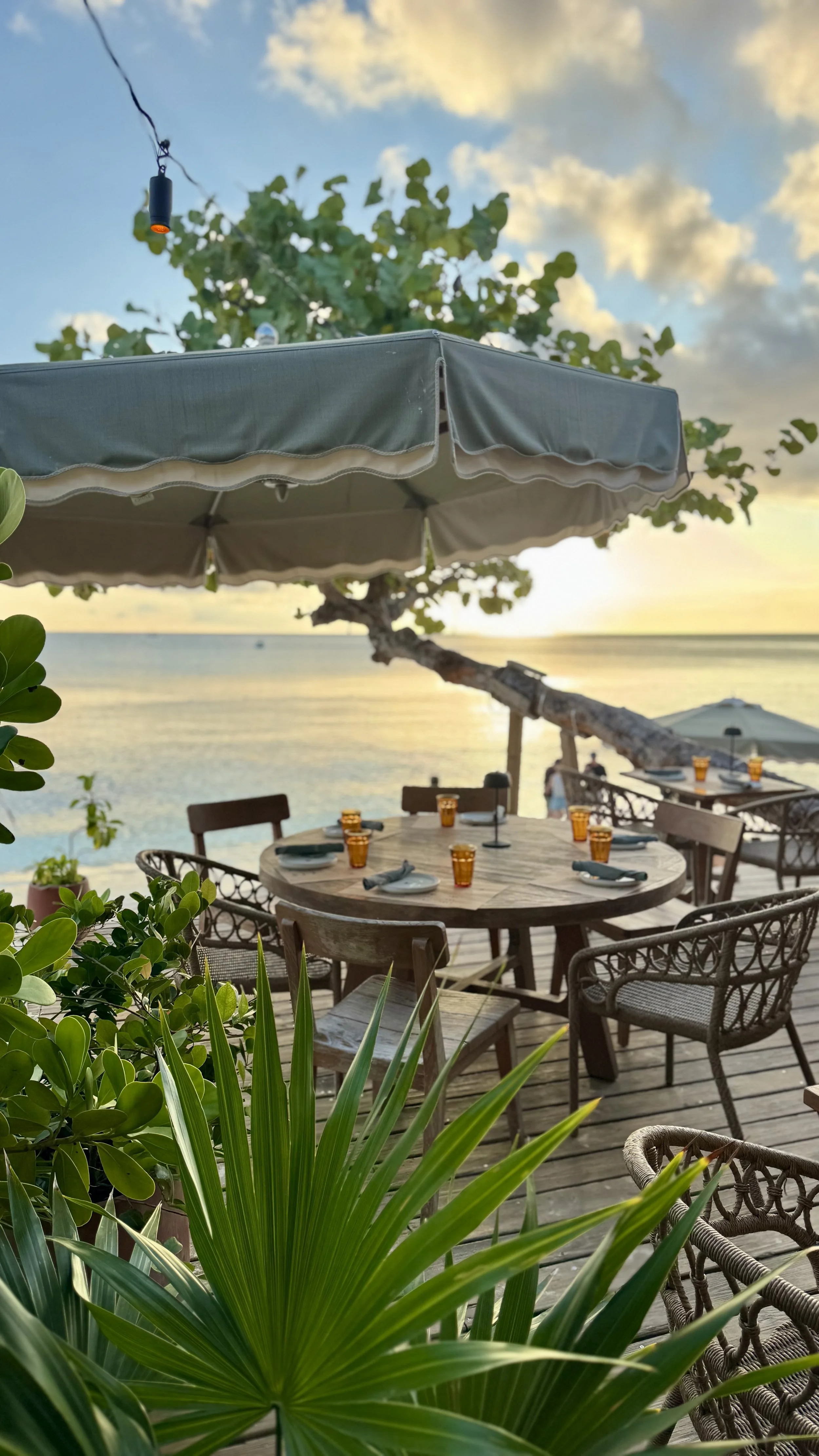 Bonny Moon Beach Club | Grand Cayman Travel Guide | Travel Bug
