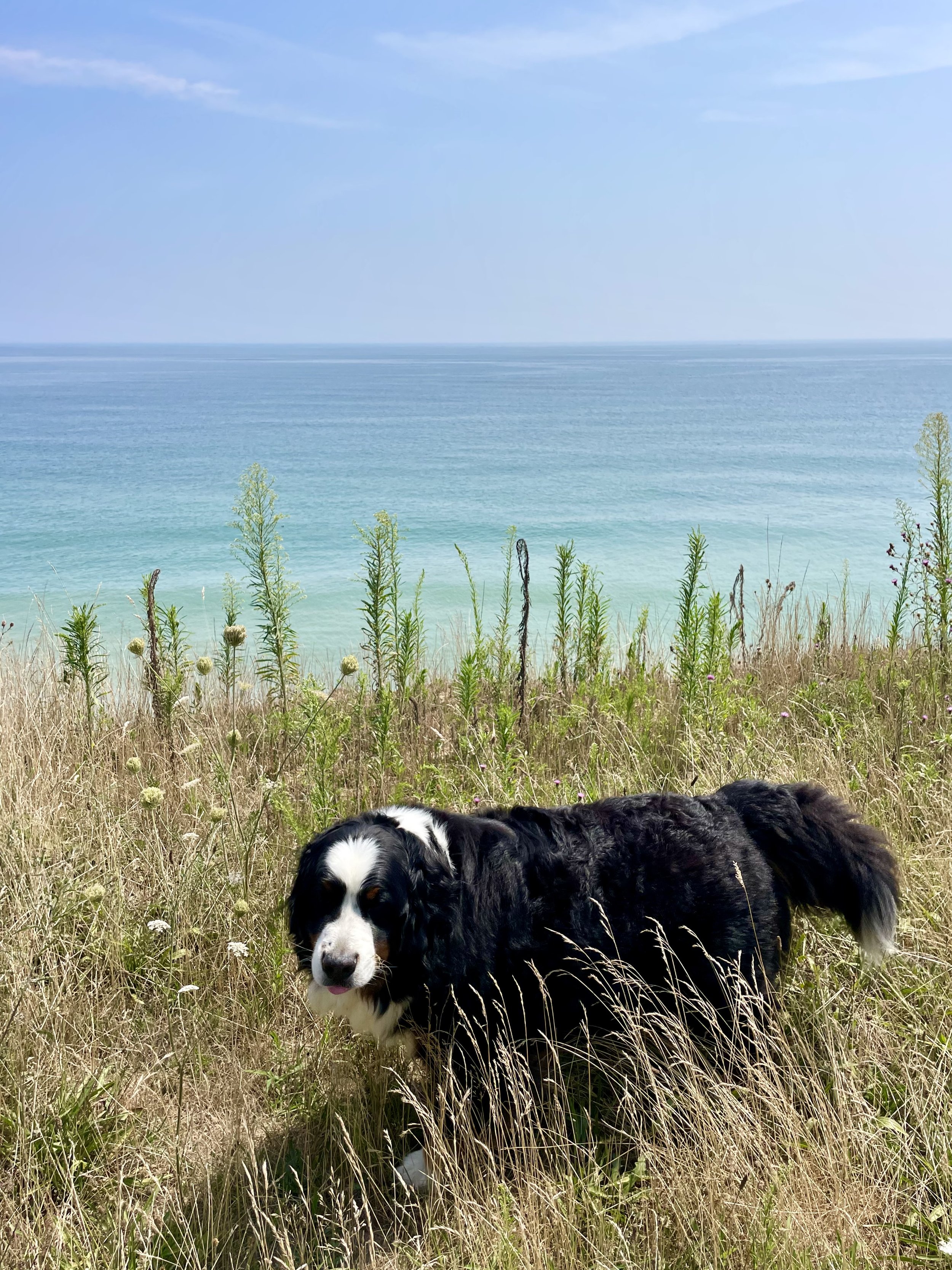 Nauset Light Beach Vacation Rental Home | Cape Cod Travel Guide | Travel Bug