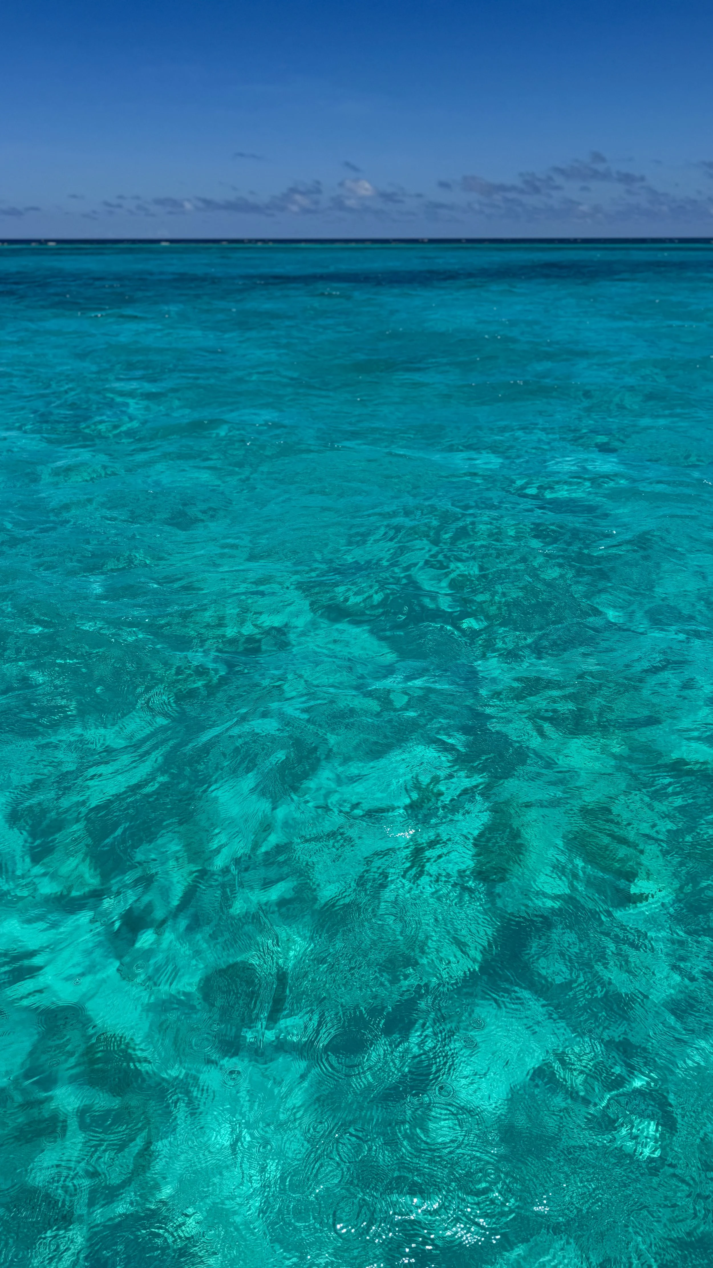 Cobalt Custom Charters | Grand Cayman Travel Guide | Travel Bug