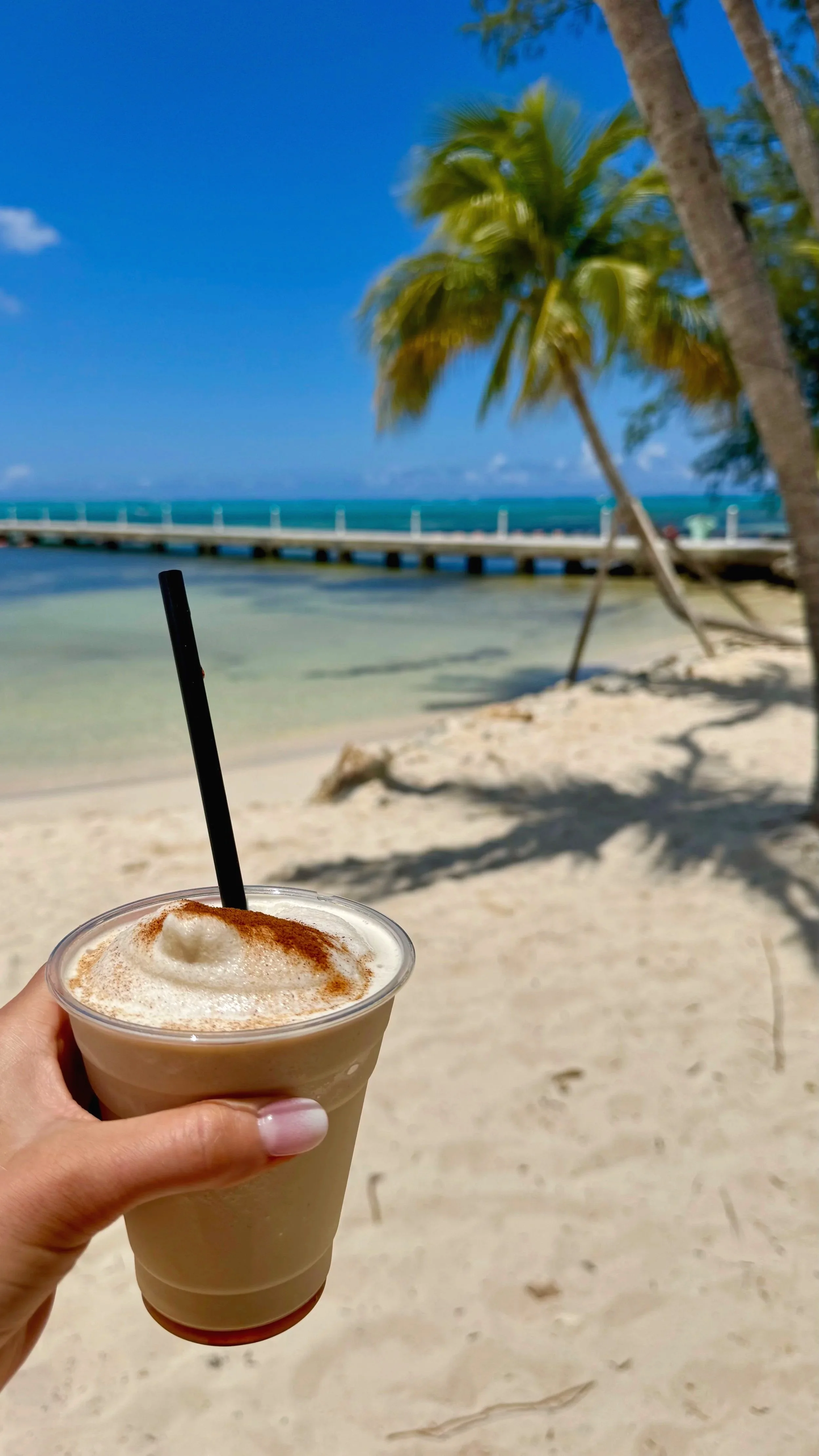 Best Piña Colada Grand Cayman, Rum Point | Grand Cayman Travel Guide | Travel Bug