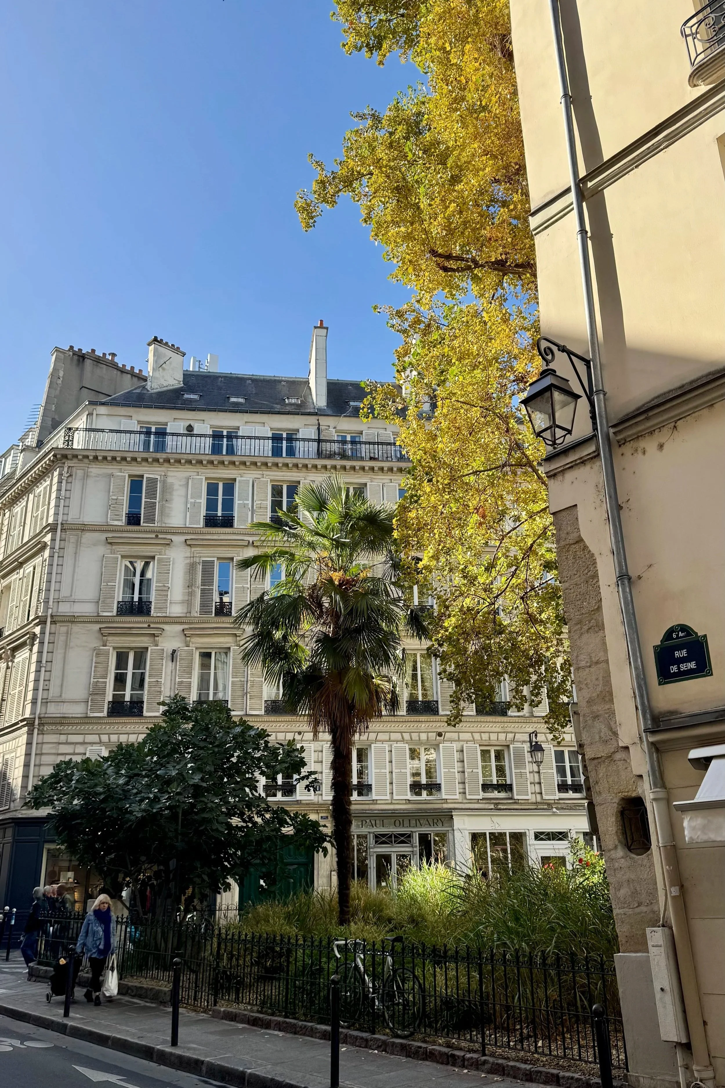 Saint-Germain-des-Prés | Paris Travel Guide | Travel Bug