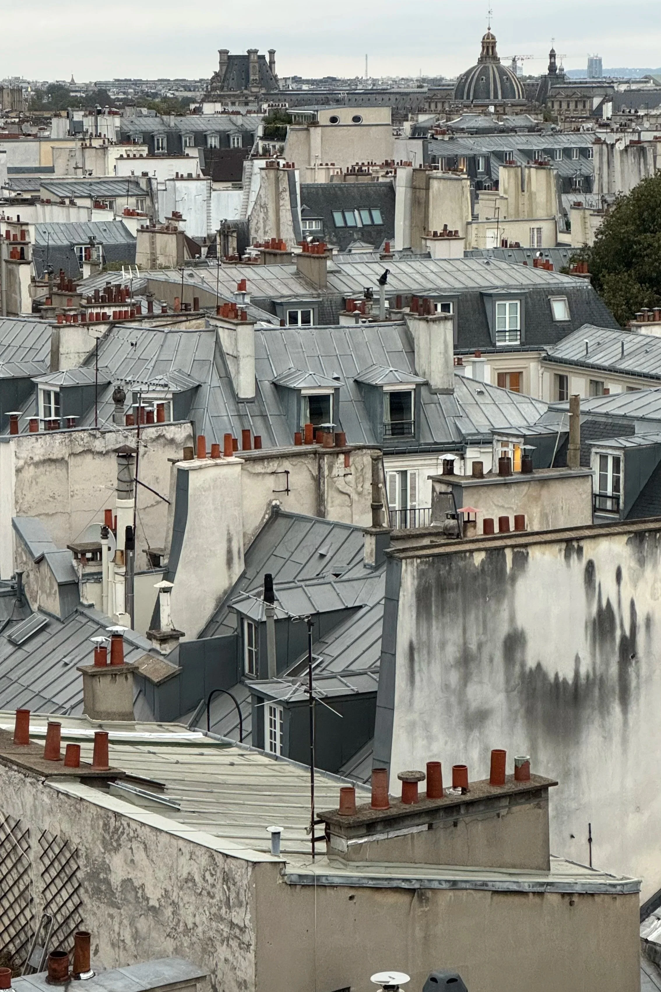 Hôtel Dame Des Arts Rooftop | Paris Travel Guide | Travel Bug