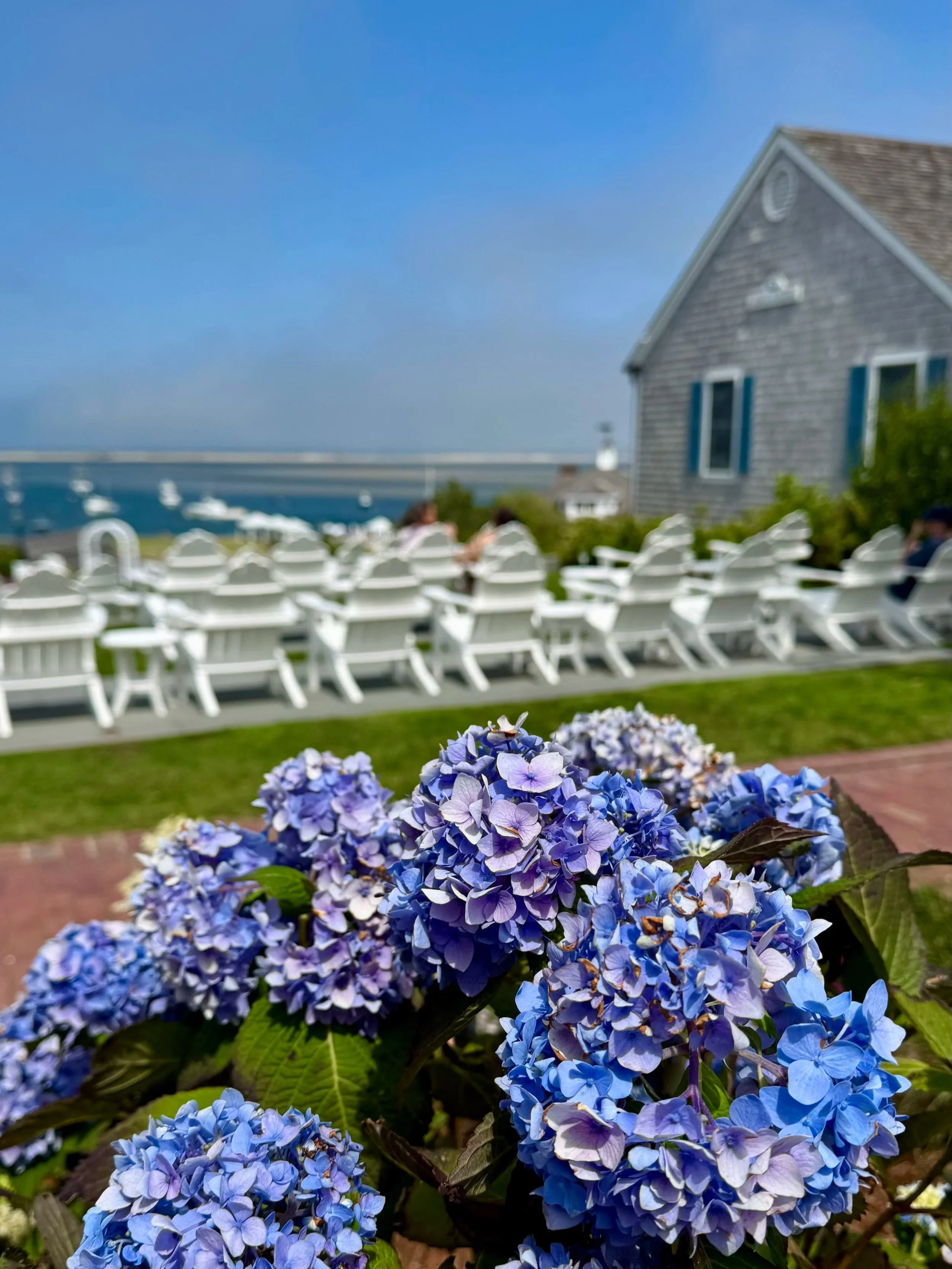 Chatham Bars Inn | Cape Cod Travel Guide | Travel Bug
