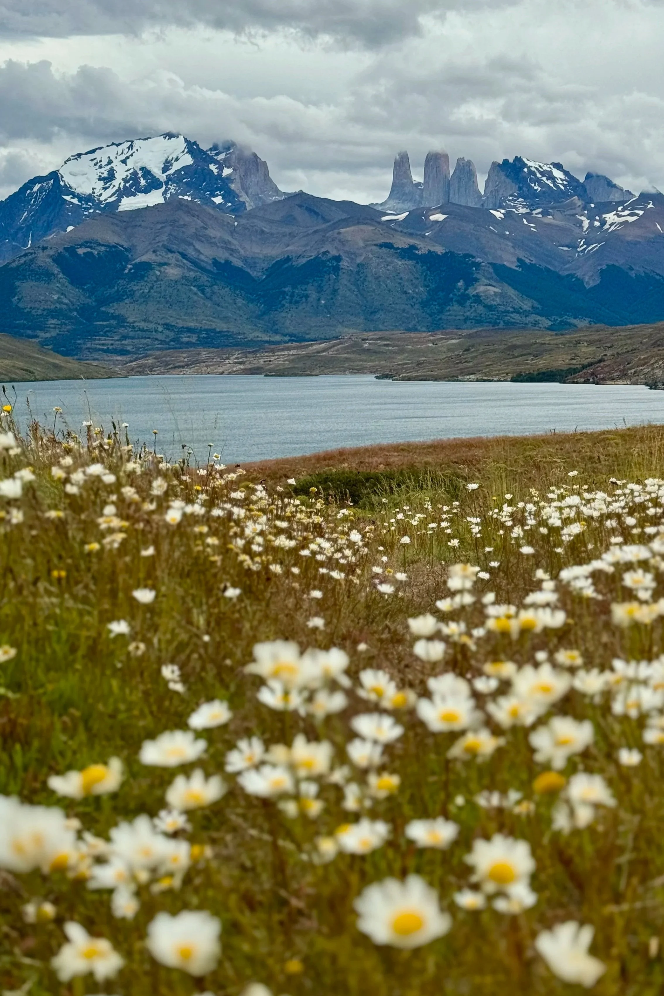 Laguna Azul | Torres del Paine Chilean Patagonia Travel Guide | Travel Bug