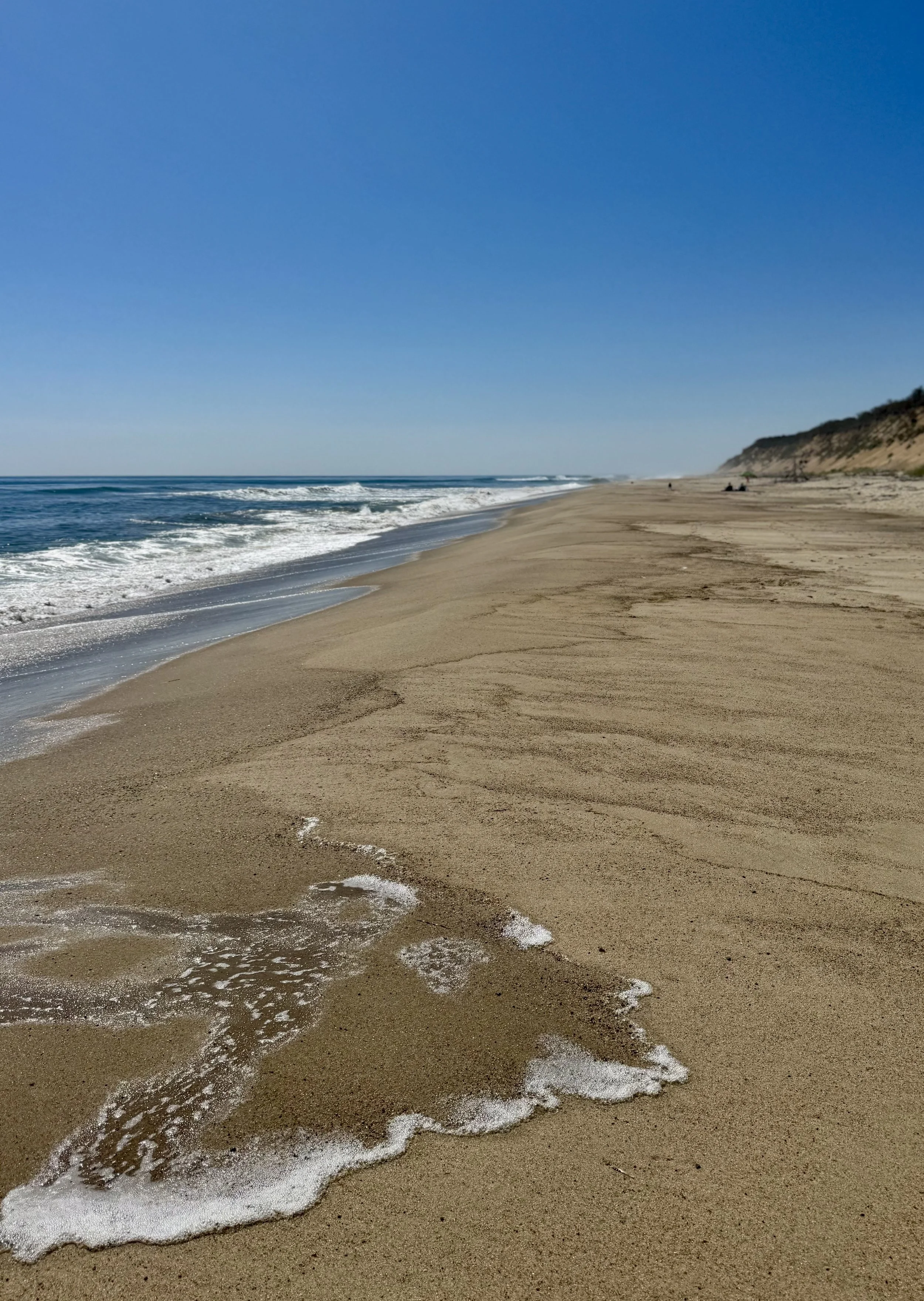 Marconi Beach Wellfleet | Cape Cod Travel Guide | Travel Bug