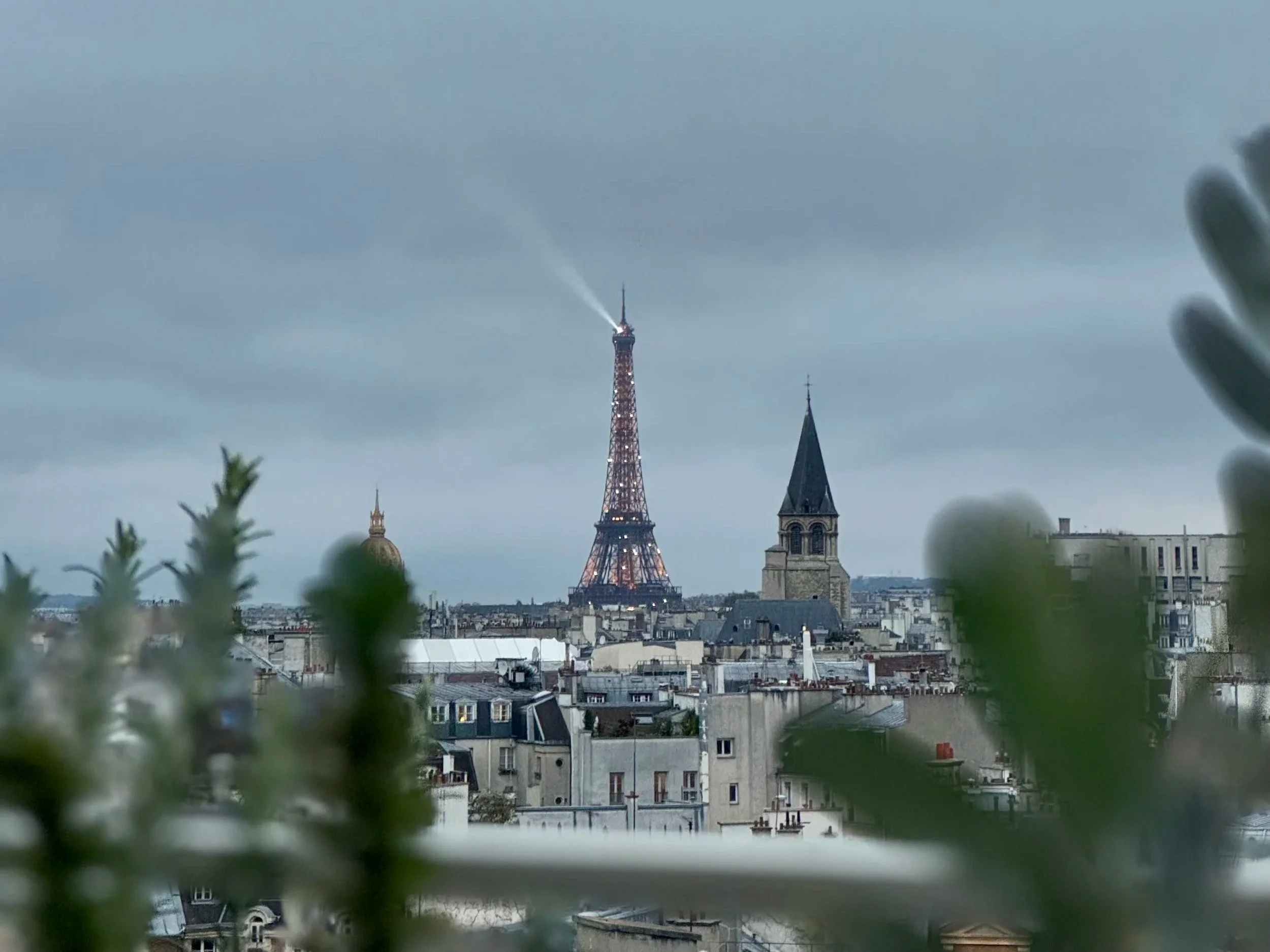 The Rooftop at Hôtel Dame des Arts | Paris Travel Guide | Travel Bug
