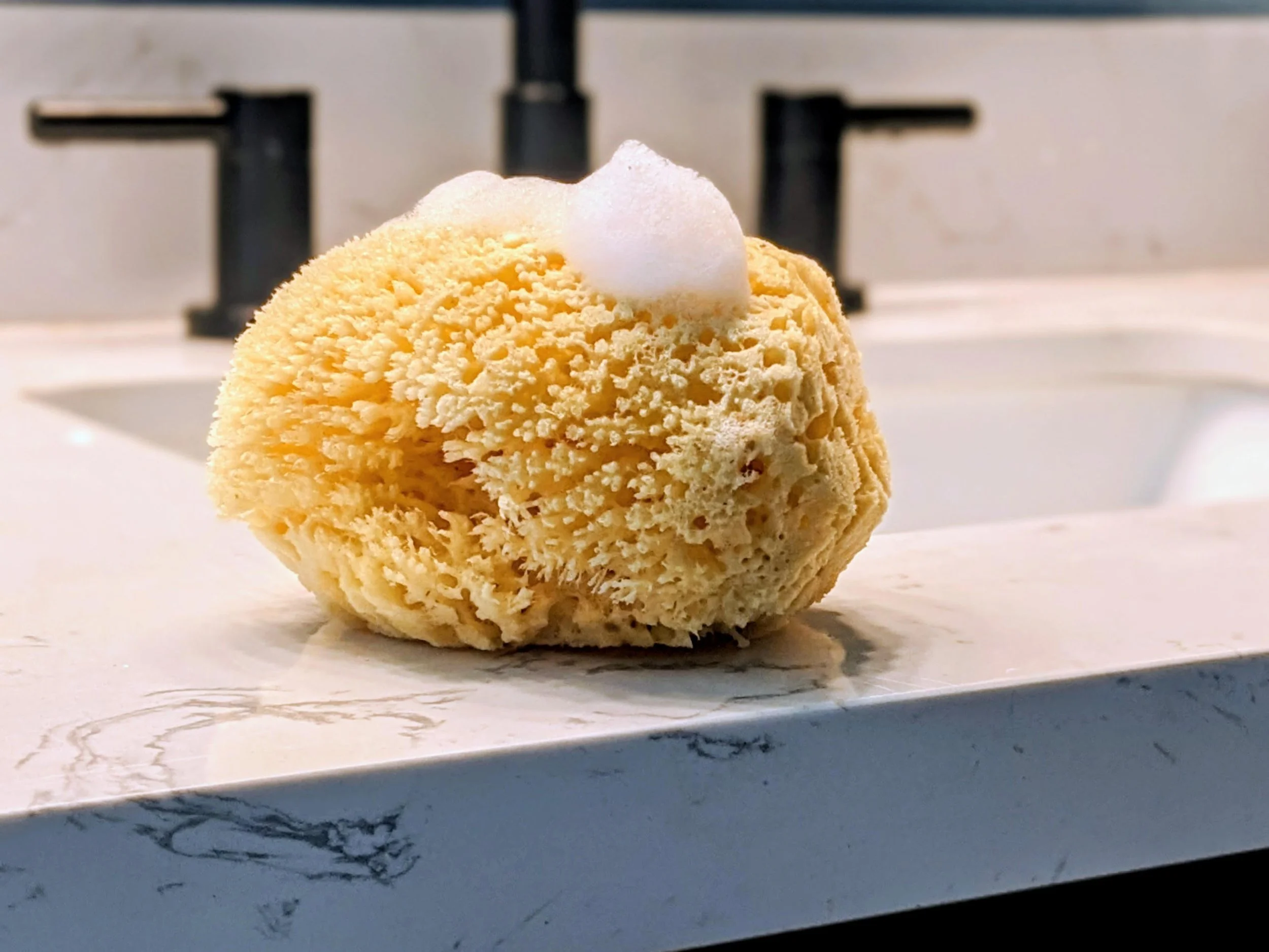 “Dead Sea Sponges” Aren’t Real: What You Should Know Before You Buy