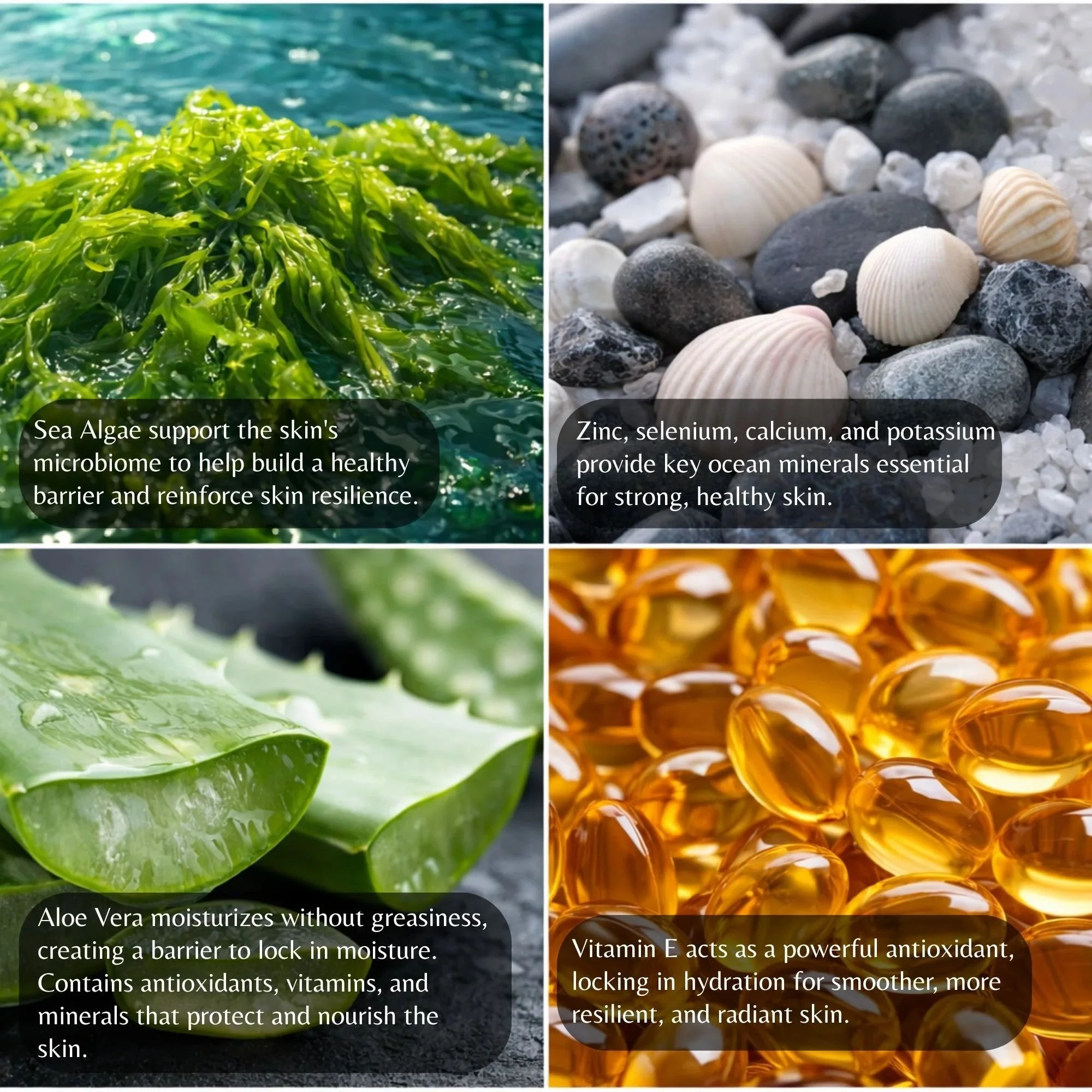 Sea+algae+support+the+skin%27s+microbiome+to+help+build+a+healthy+barrier+and+reinforce+skin+resilience..jpg