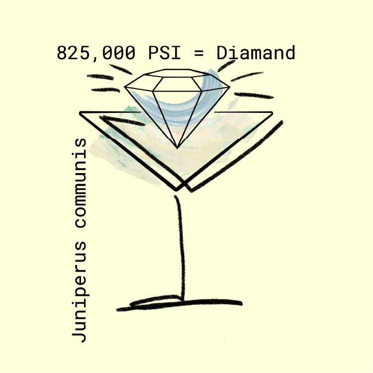 weft&warp_cocktials 2023-03.png