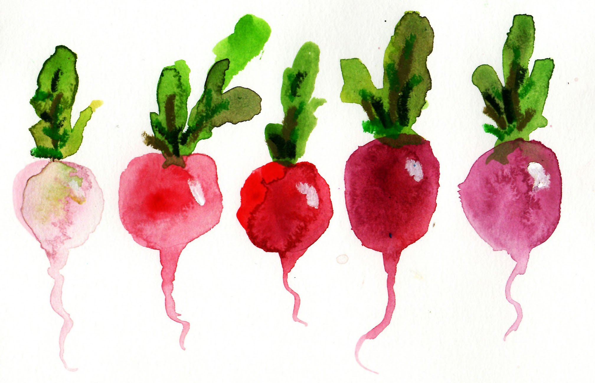 Gouache Beets.jpeg