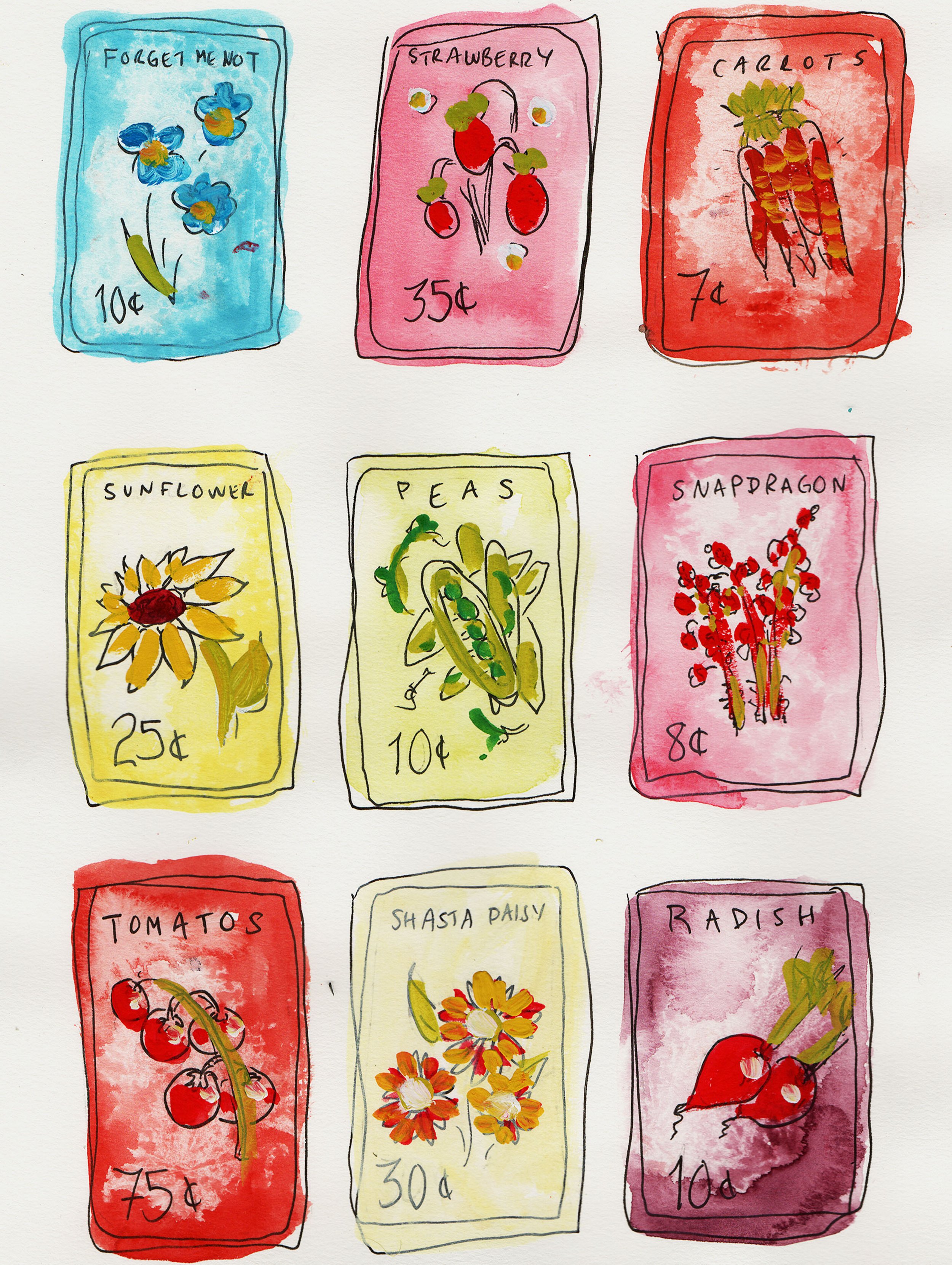 Seed Packets.jpeg