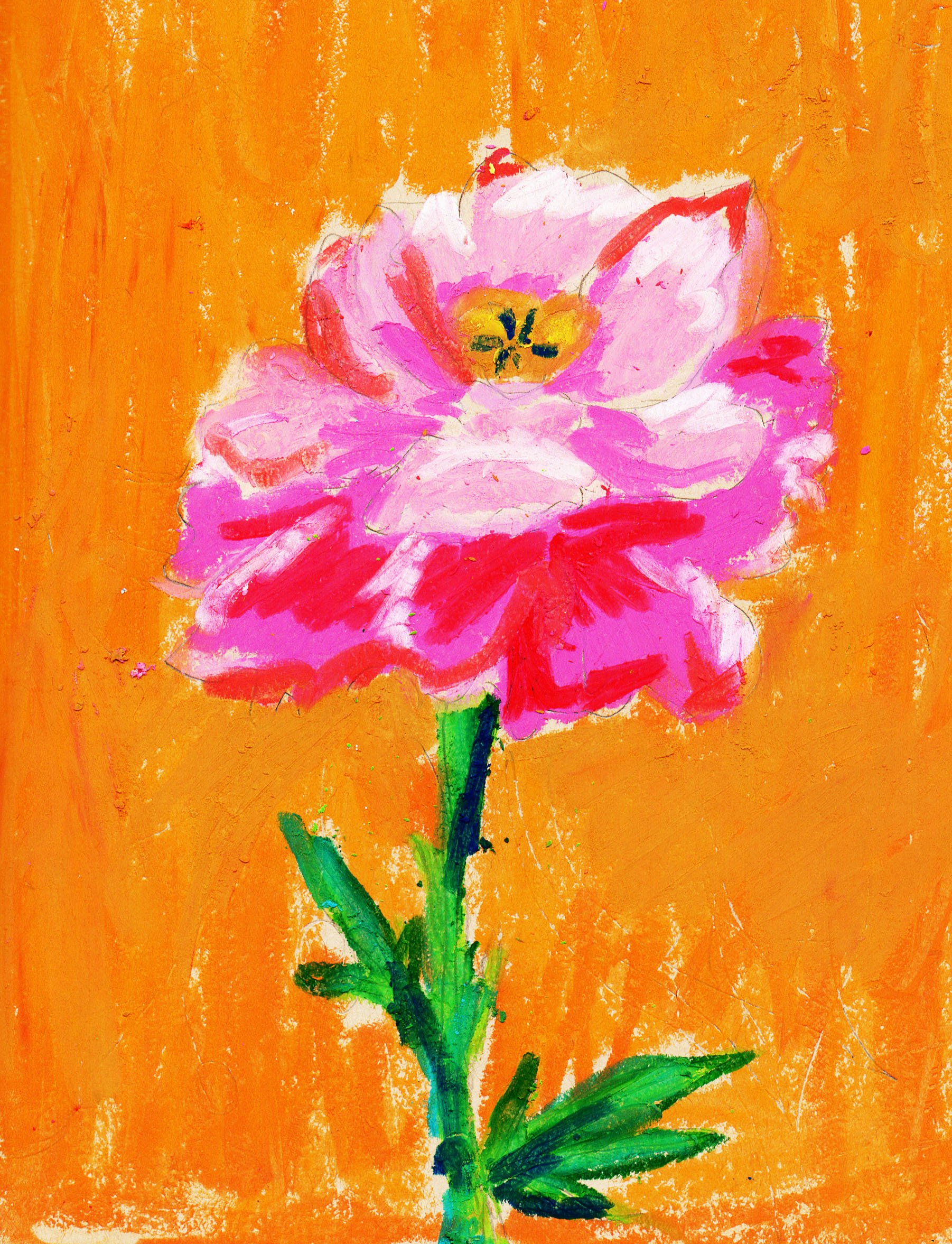 Pastel Peony.jpeg