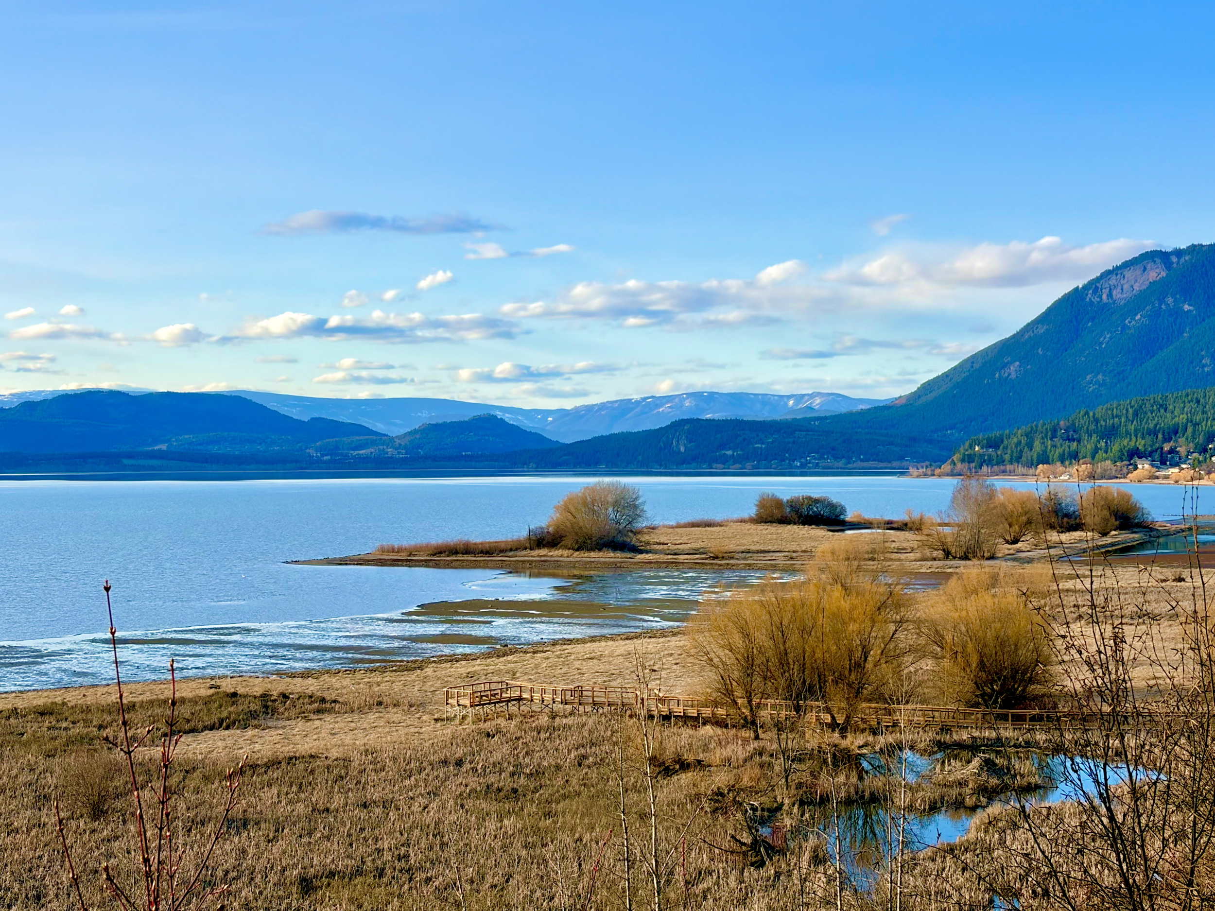Picture of completed boardwalk and viewing platform