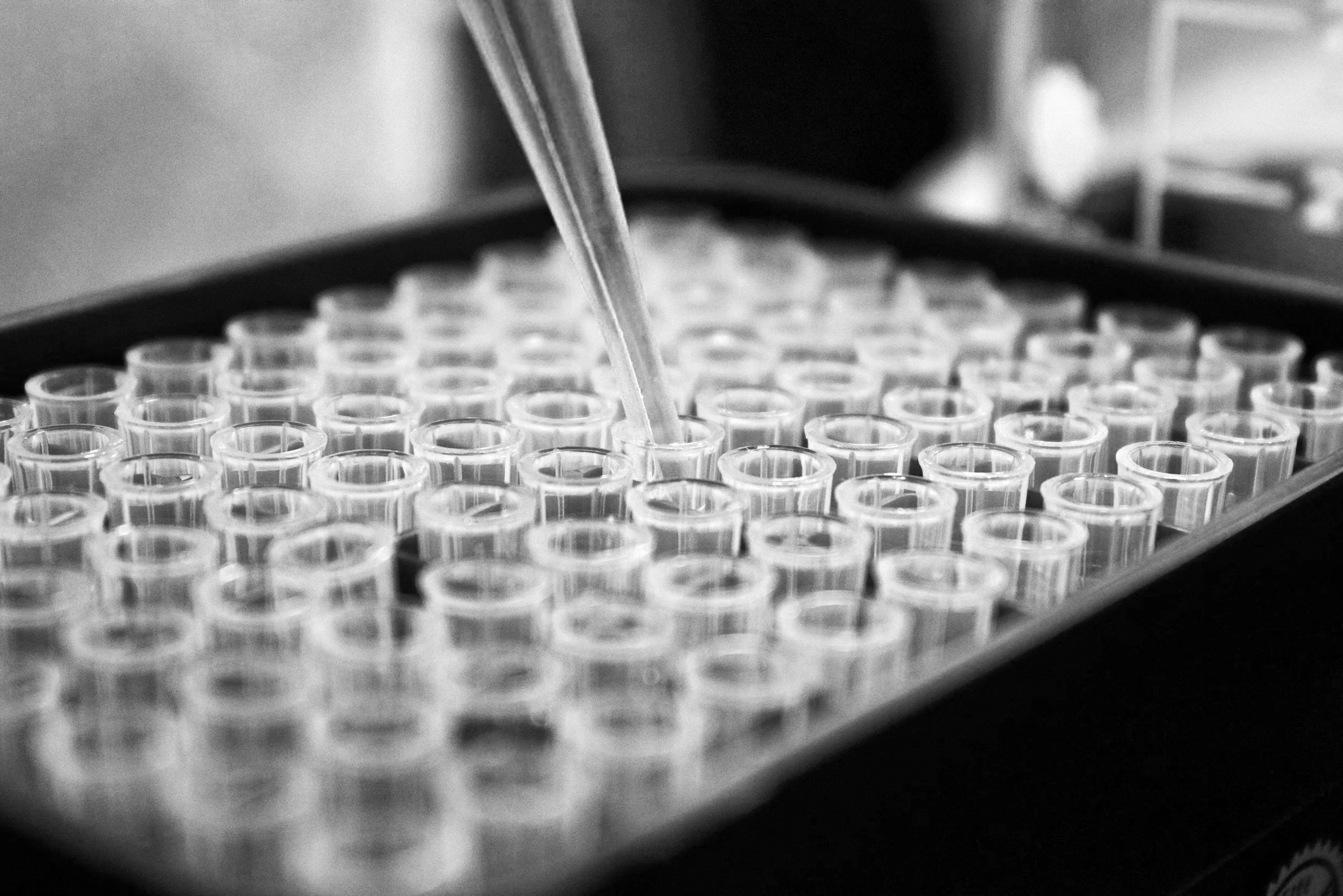 Response to NYT on Elizabeth Holmes Article