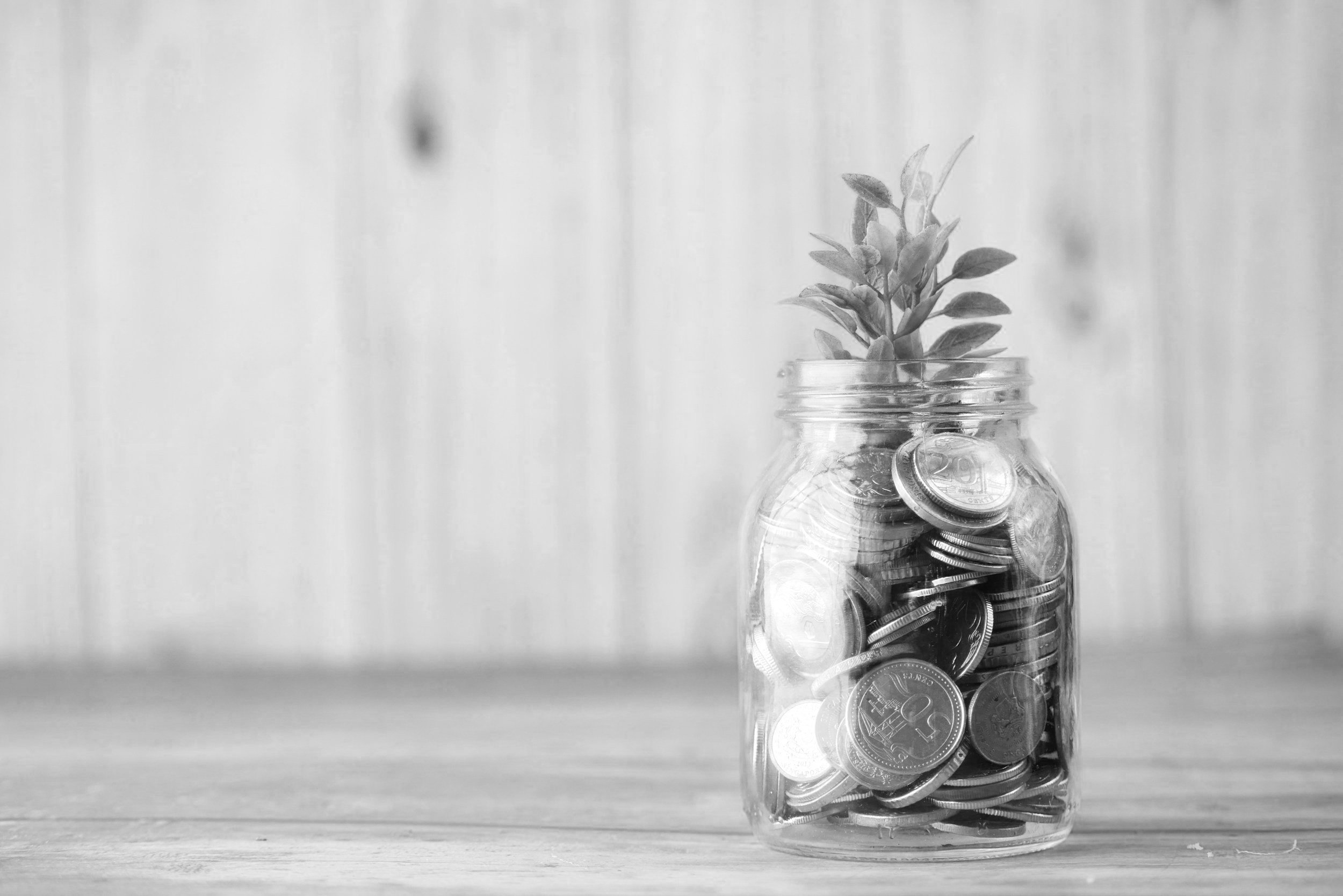 COVID &amp; Non Profits