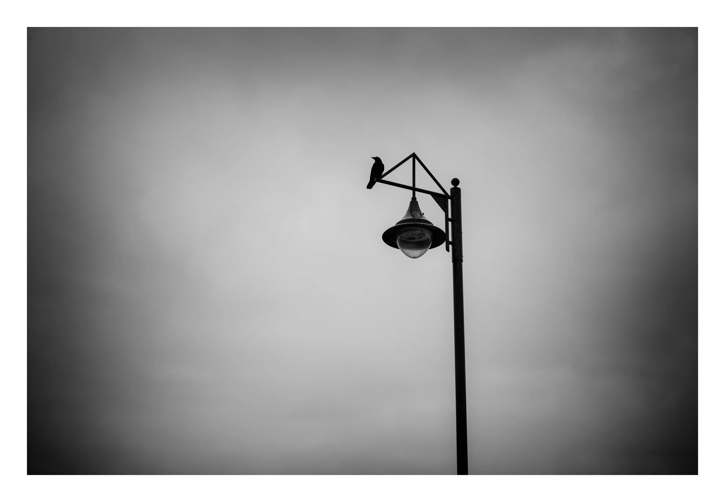L1007484-Edit-Edit.jpg