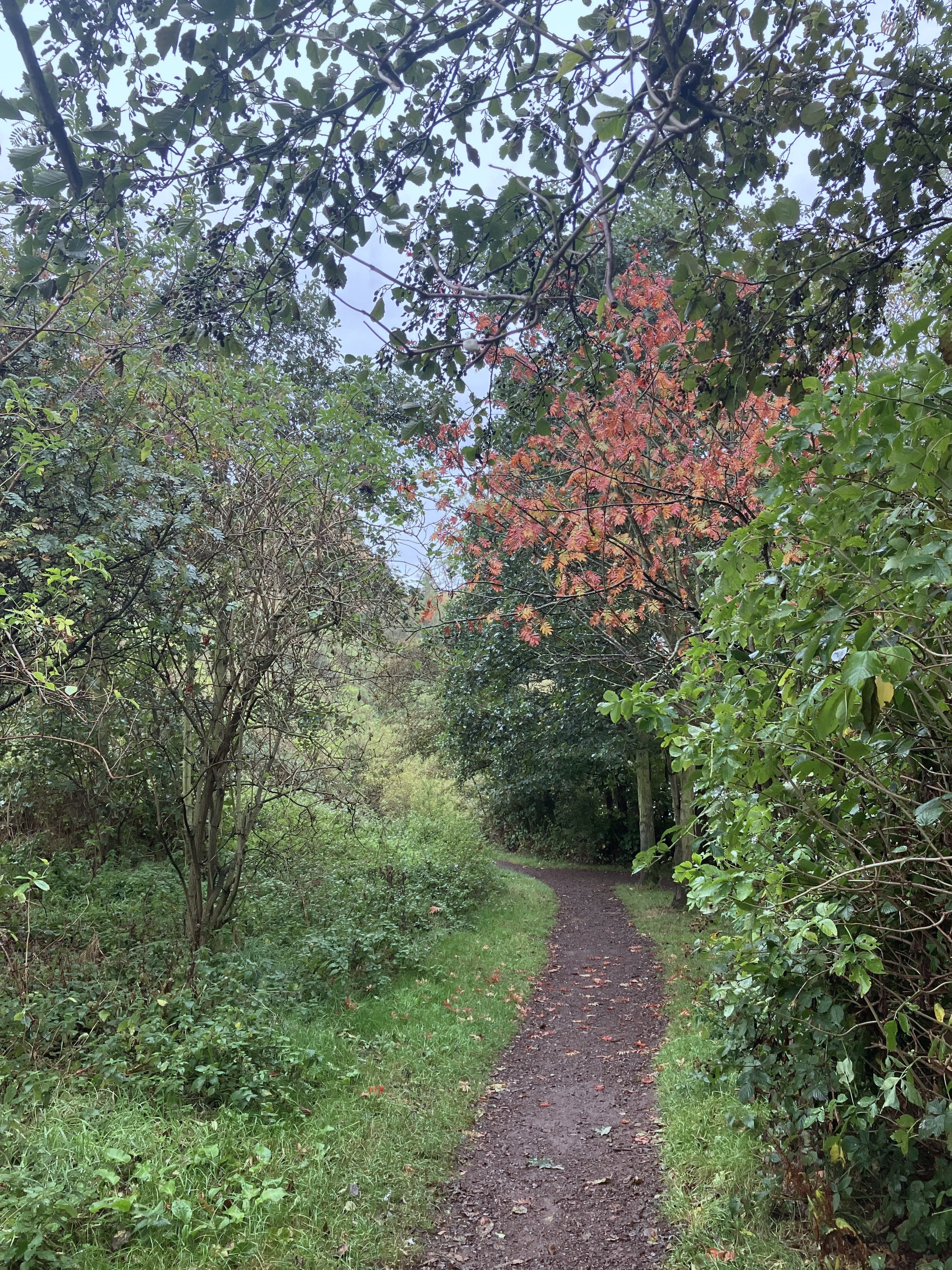 Seasonal circles