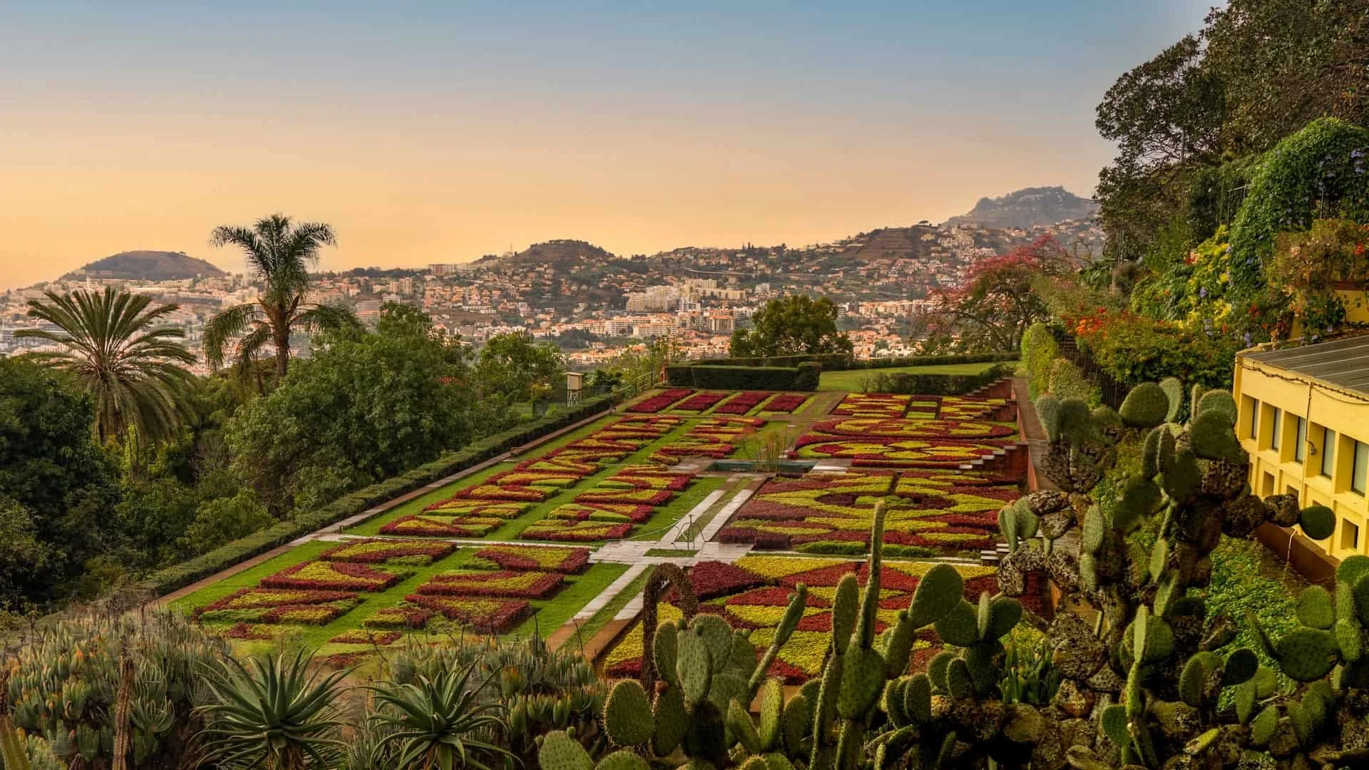 Top Things to Do in Funchal (Madeira) in One Day