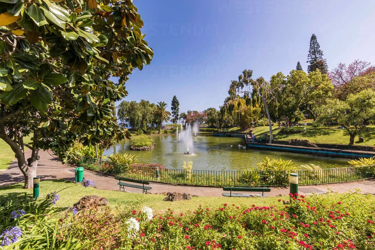 portugal-madeira-insel-funchal-teich-mit-springbrunnen-im-santa-catarina-park-parque-de-santa-catarina-WDF05997.webp
