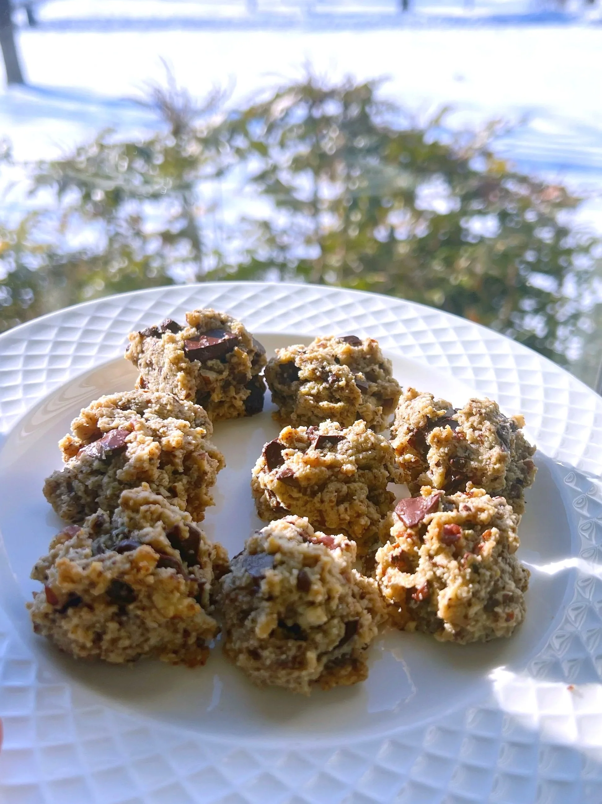 Recipe: chocolate pecan cookies (V, GF)