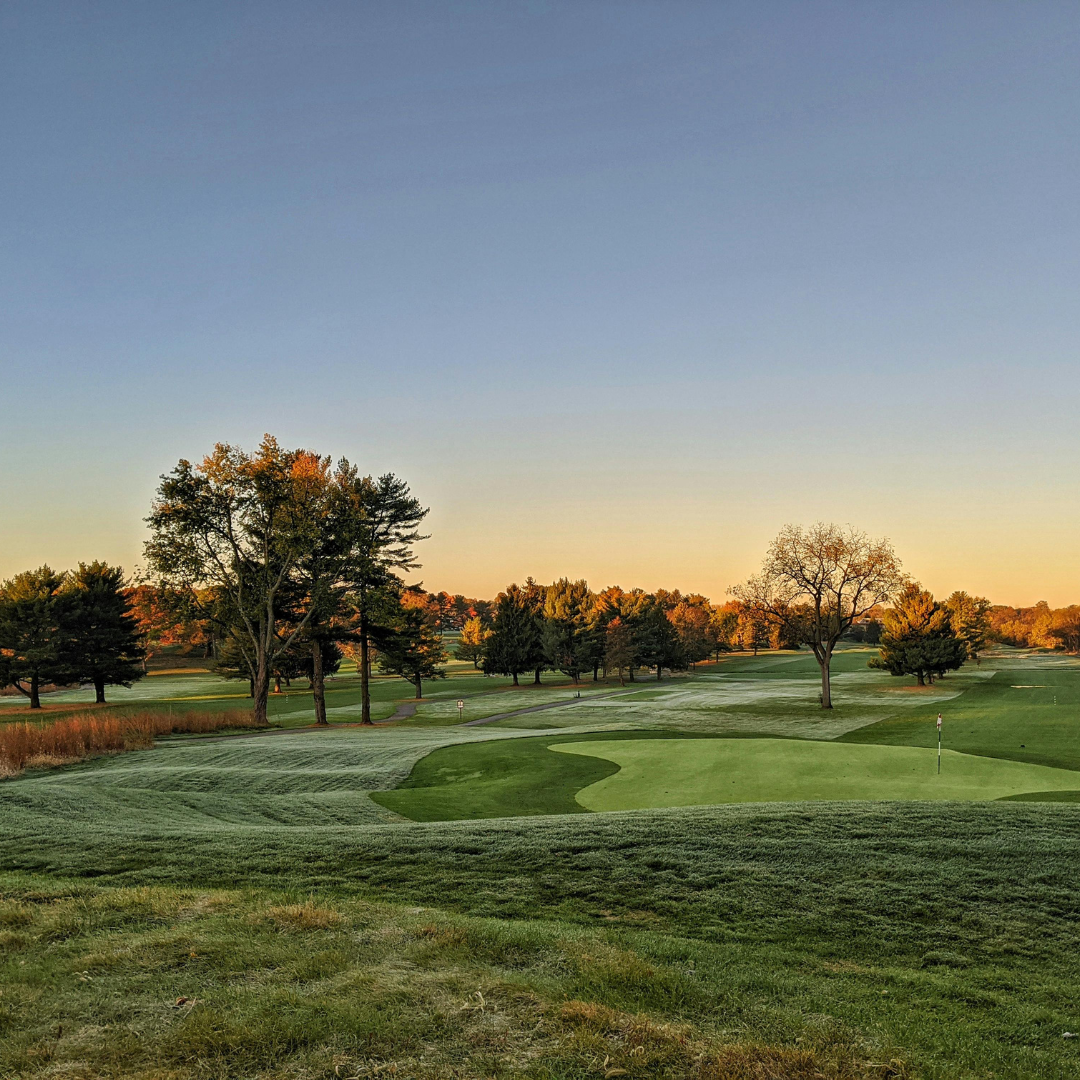 Golf yips and sports performance anxiety caused by nervous system dysregulation in athletes