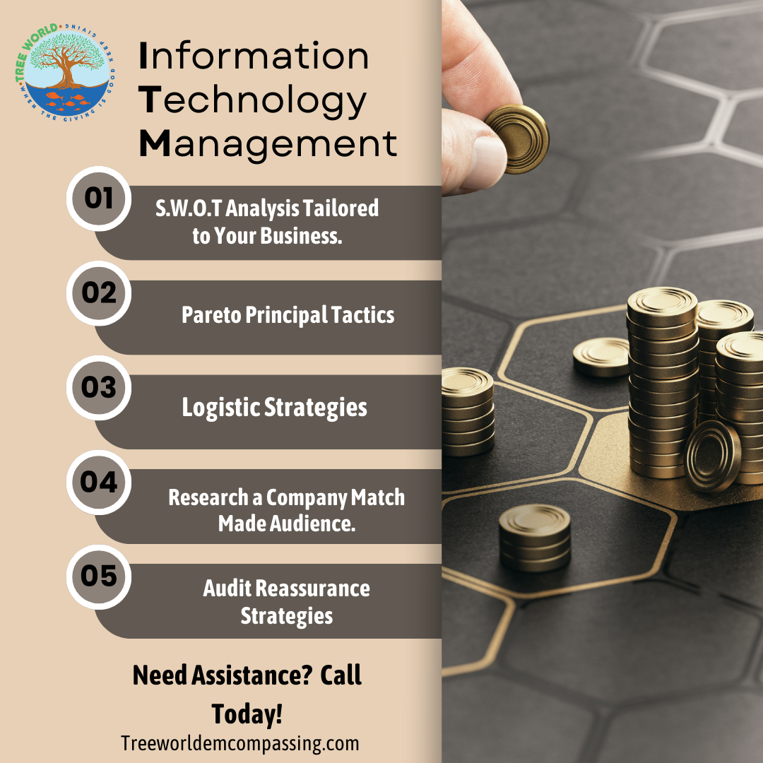 Information Technology Management