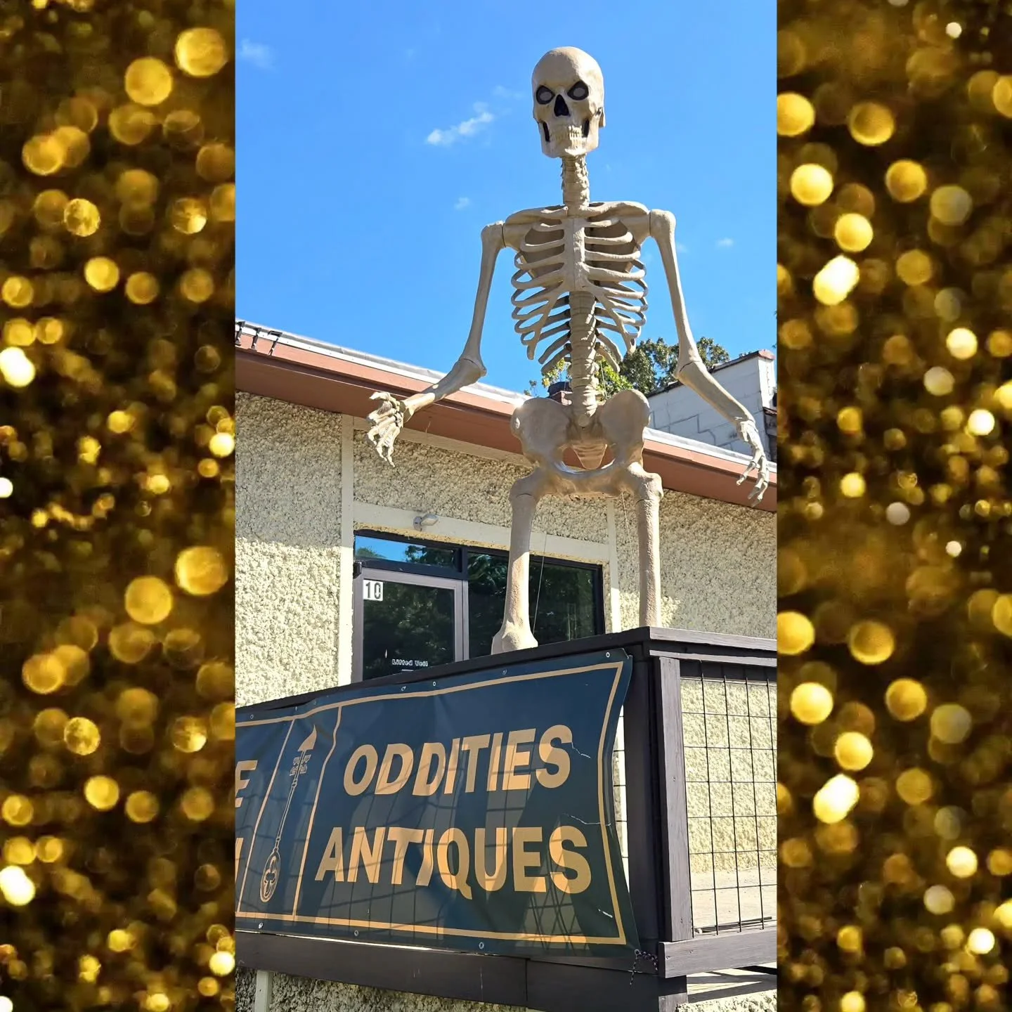 ✨️ We got a 12 foot skeleton for the store! 💀 what should we name him?