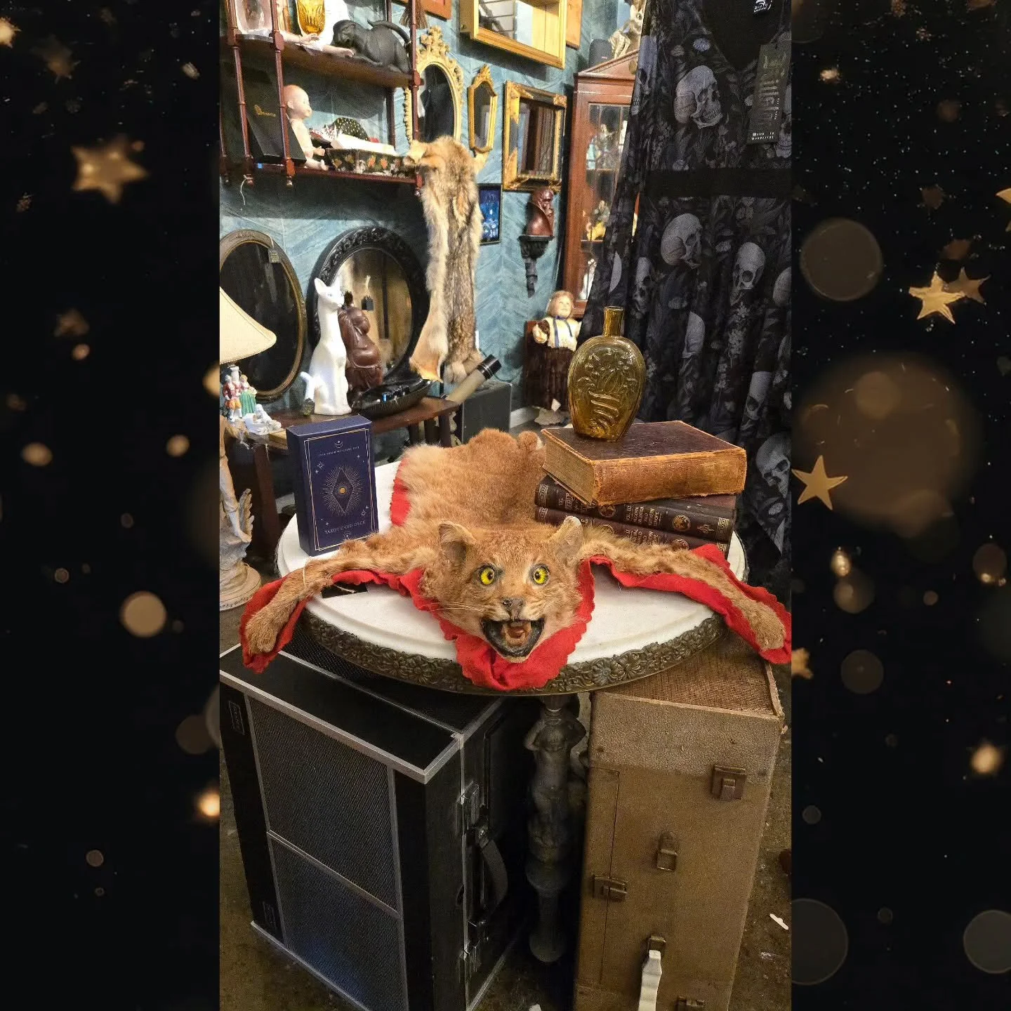 Do you have someone on your list who is impossible to buy for? Come check out Curiouser &amp; Curiouser AVL ! We have the most unique selection of gifts in the Asheville area!
Come see our selection of Antiques and oddities by @batcountryvintage

Loc