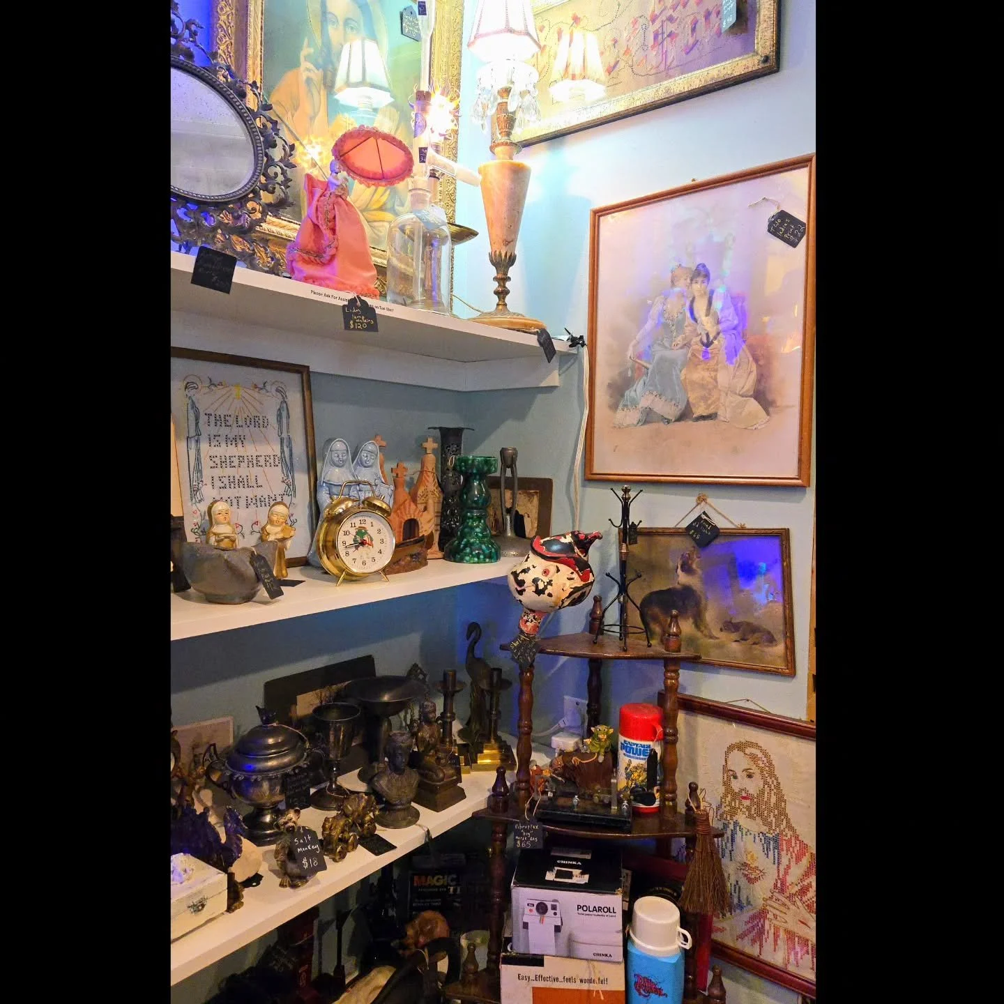 ✨️ Need a gift for all those hard to buy for people on your list? Curiouser &amp; Curiouser has the most unique selection of gifts in Asheville!

117 Sweeten Creek Road 
.
.
.
.
.
.
.
.
.
.
.
.
.
.
.
#odditiesandcuriosities #antiques #ashevilleantiqu