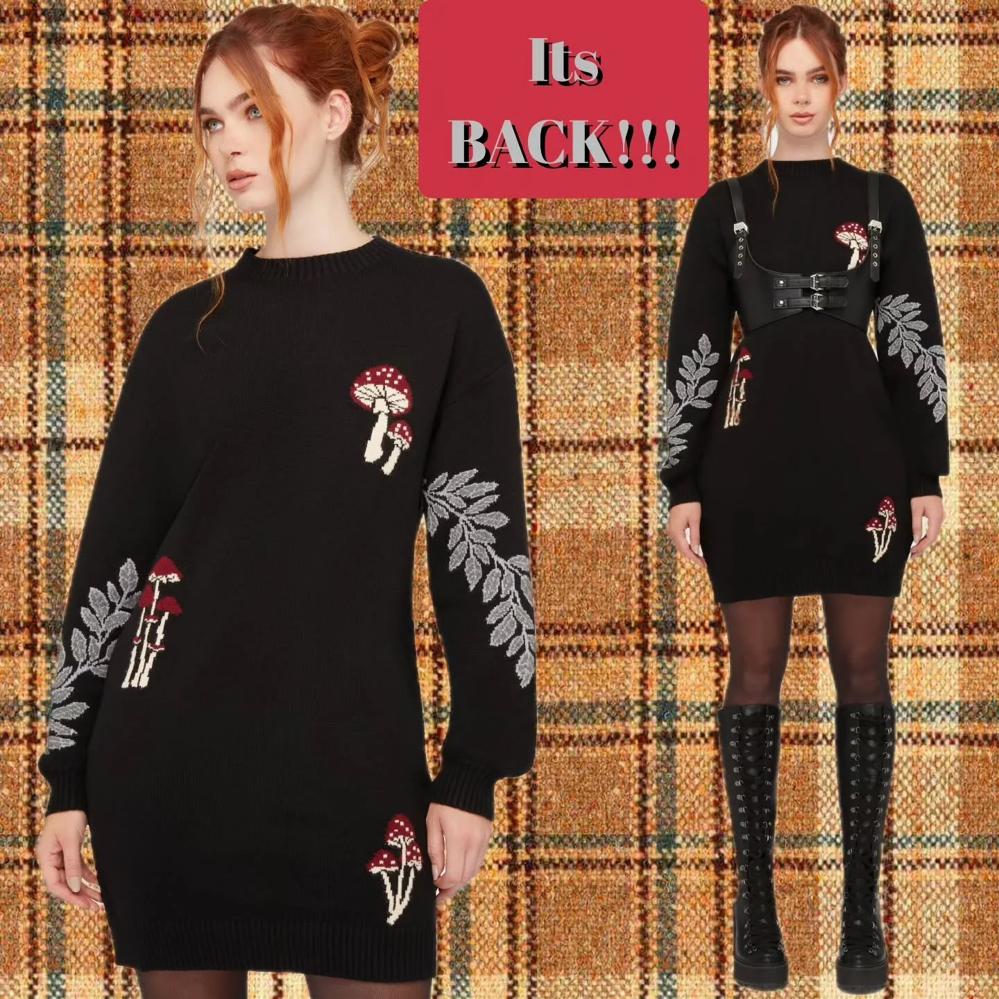 🍄 The Mushroom Sweater dress is back! You guys sold this one out in less than a week last time we ordered it so these are sure to go fast! Stop by Curiouser &amp; Curiouser AVL Today and get yours!

Located at 117 Sweeten Creek road
.
.
.
.
.
.
.
.
