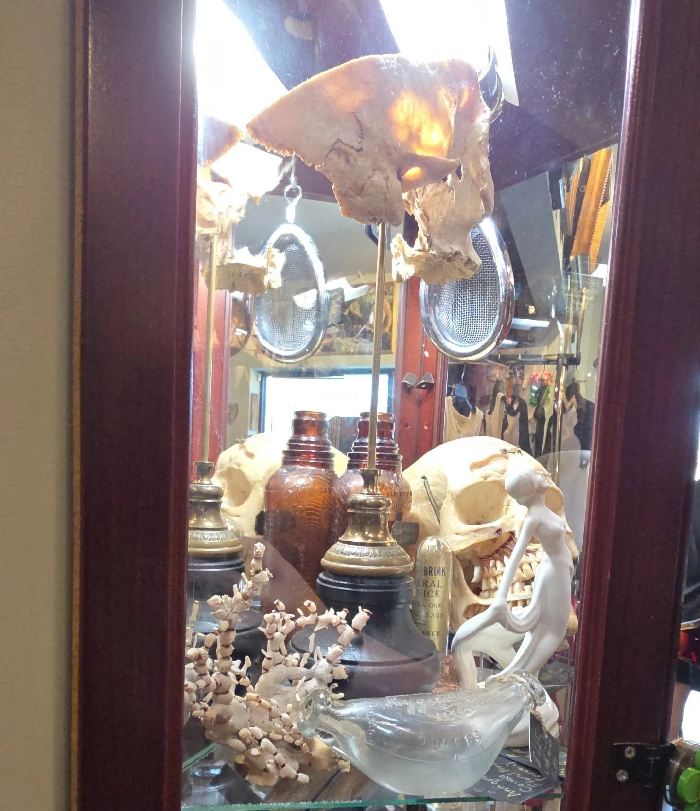 ✨️ Its the perfect day to come take home a new treasure from Curiouser &amp; Curiouser AVL! 
@batcountryvintage brought in some new items
Located at 117 Sweeten Creek Road in Asheville 
.
.
.
.
.
.
.
.
.
.
.
.
.
#ashevillenc #keepashevilleweird 
#bes