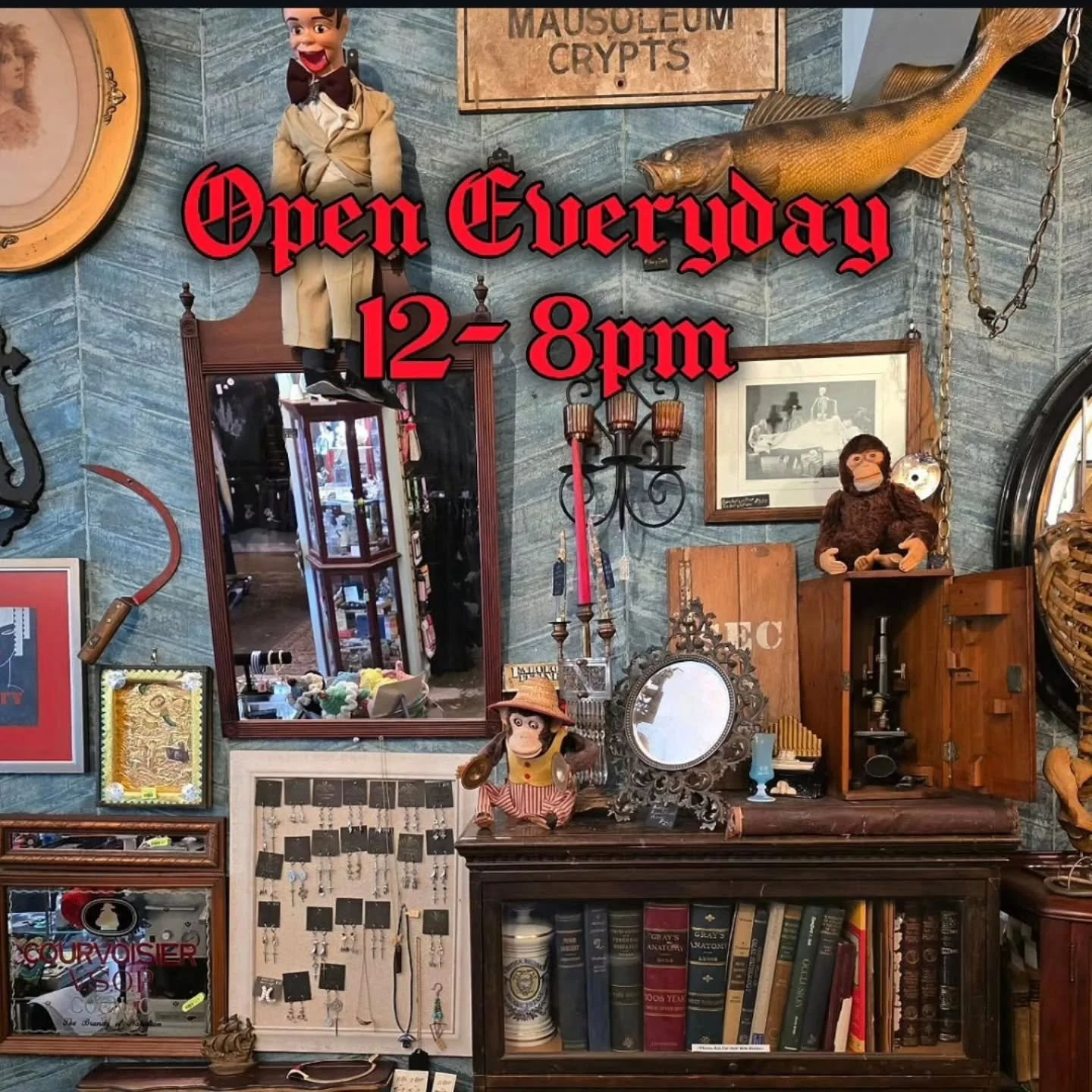 ✨️ The most Unique Shopping experience in Asheville Awaits you at Curiouser &amp; Curiouser AVL
  We have something for EVERYONE! 
Come check us out today, located at 117 Sweeten creek road in Asheville 
.
.
.
.
#keepashevilleweird #odditiesshop #ash