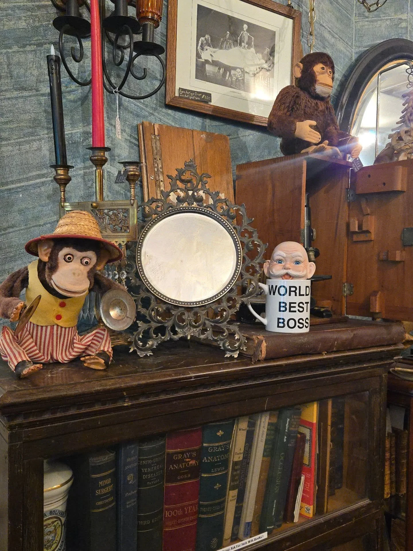 ✨️ its a beautiful day to come shop the quirky collection at Curiouser &amp; Curiouser AVL!