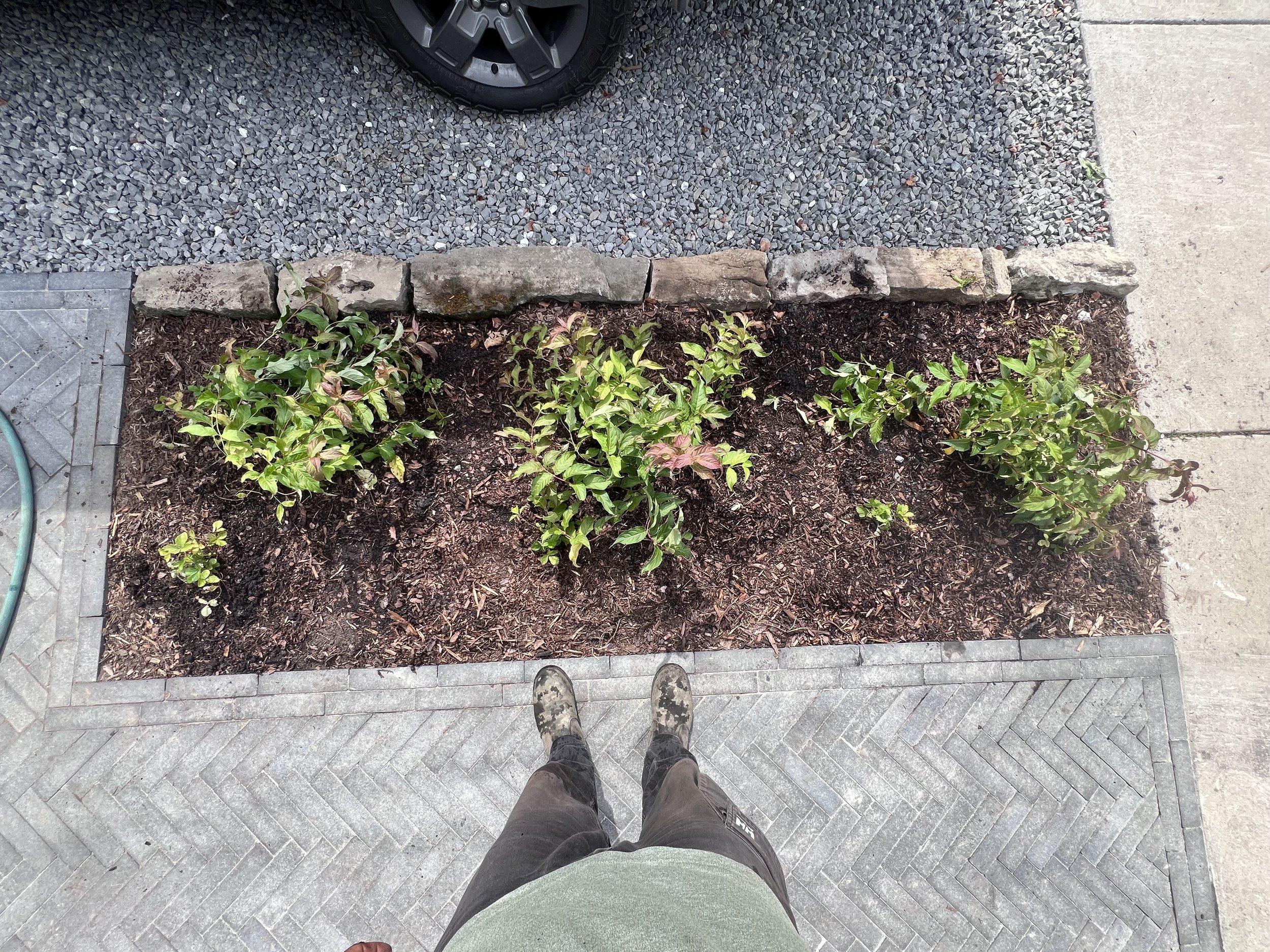 Photo showing a person's feet in camouflage shoes standing on a gray brick walkway, looking down onto a gardening bed with small green plants and a row of rocks separating it from a gravel driveway.