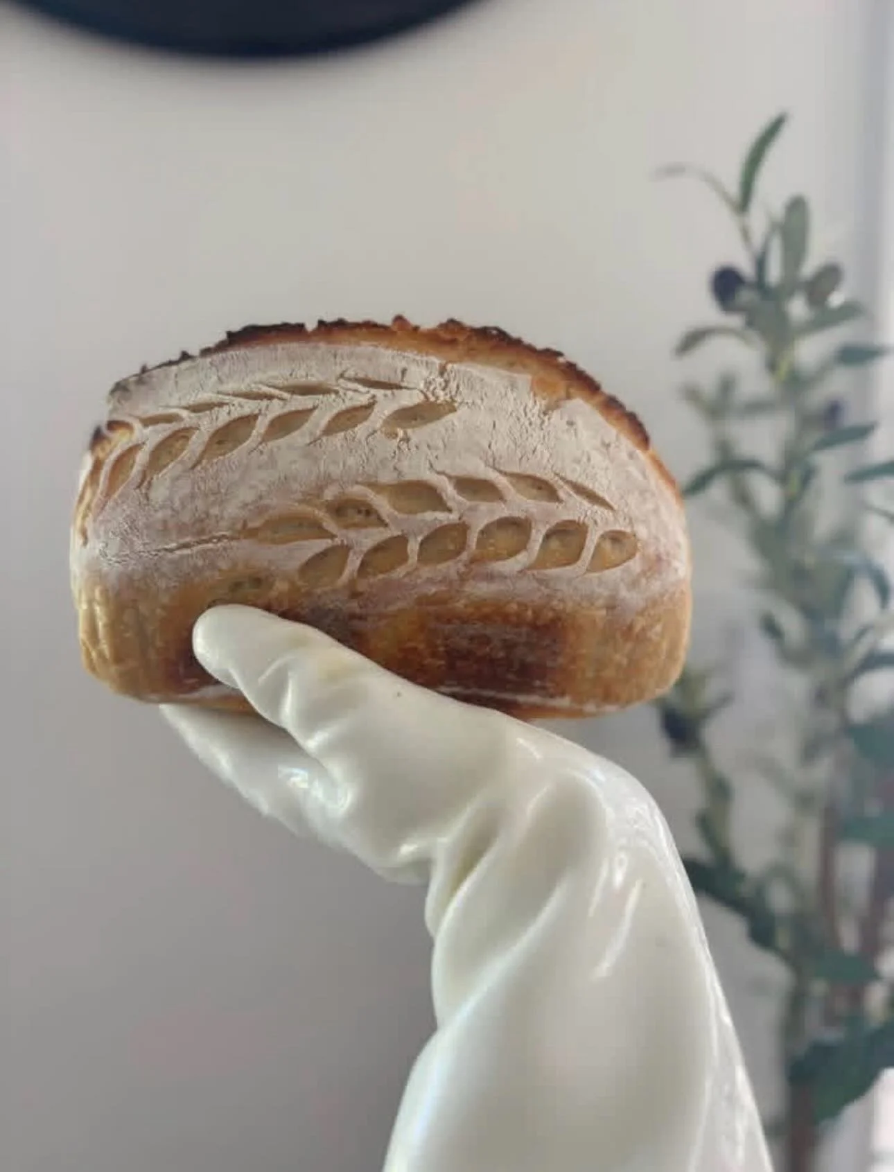 We have a few left for Thursday pick up! 💫 DM to claim your fresh loaf! 🌾 🏠 made in a home kitchen CFO #FA0042279