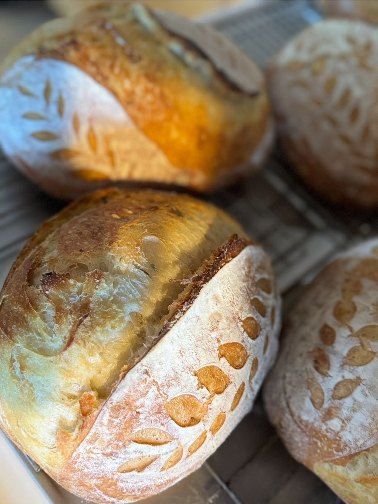 Happy Friday 🙌🏼 
Porch pick up is back for 6/11
Order by Monday at 5PM on our website millersisterssourdough.com 

☀️Yosemite / LA

DM us if you have any questions!