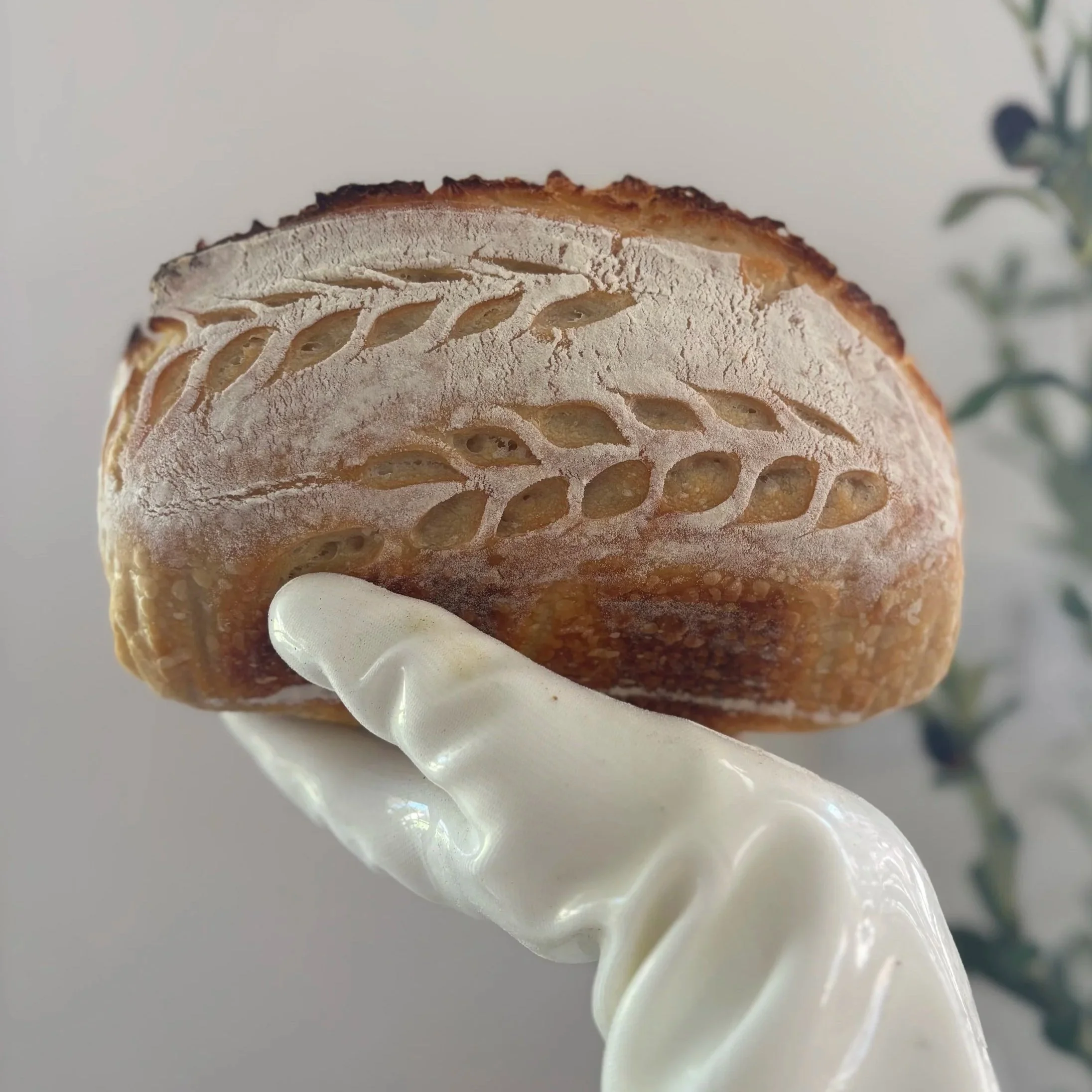 Close-up of a freshly baked loaf of bread with detailed scoring patterns