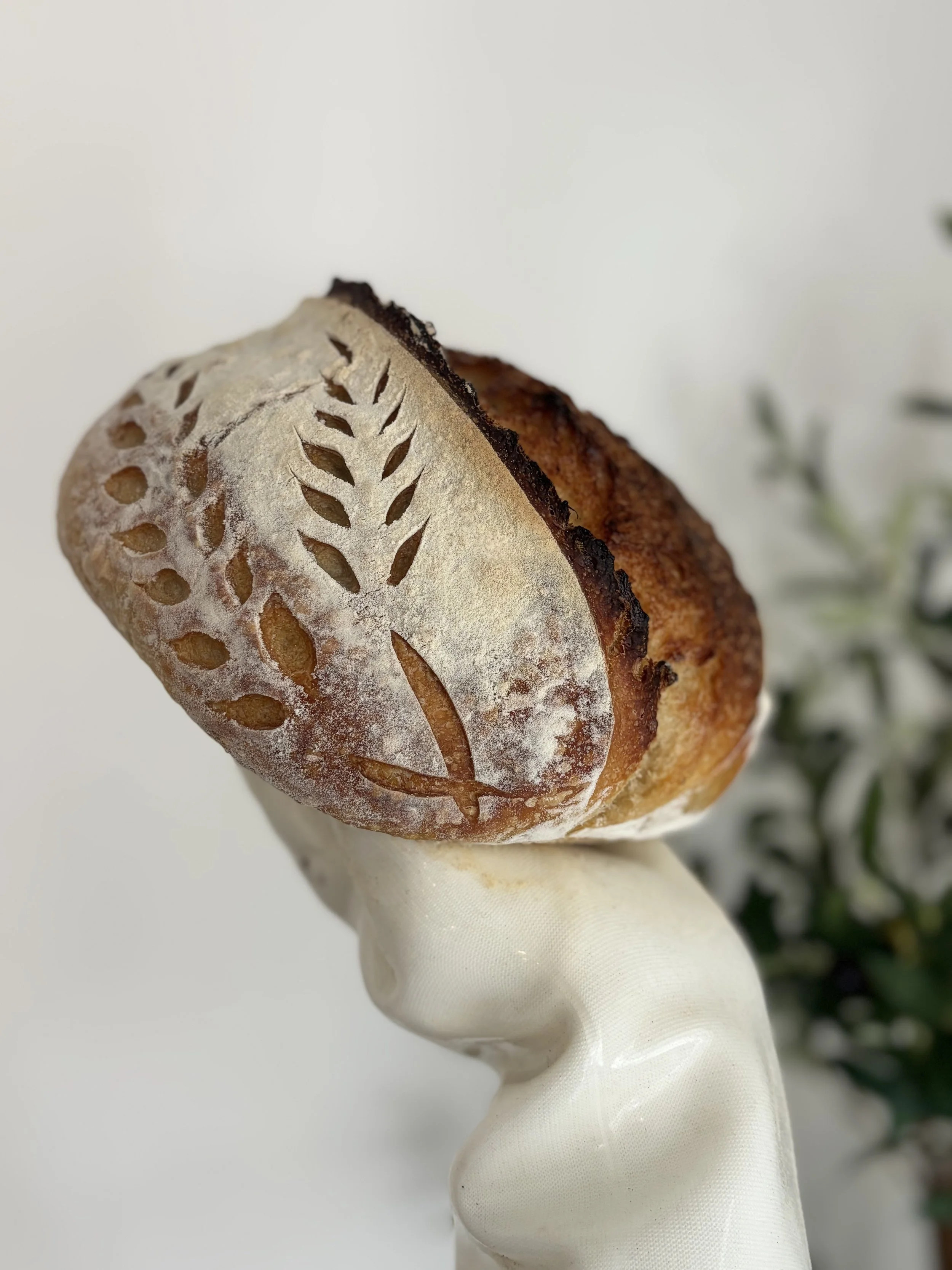 Plain Sourdough Loaf