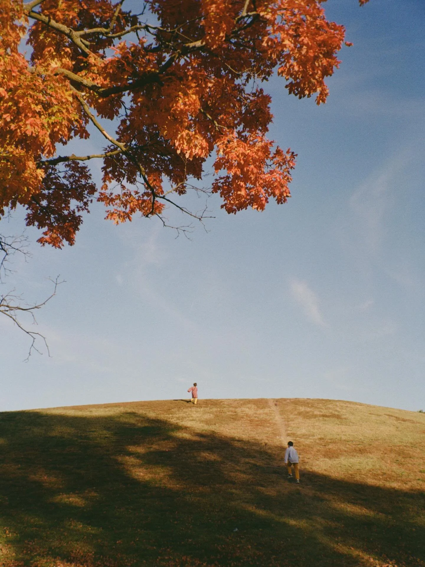 Family session for Adam and Nandin 🍂🍁🌳 #35mm #gold200film